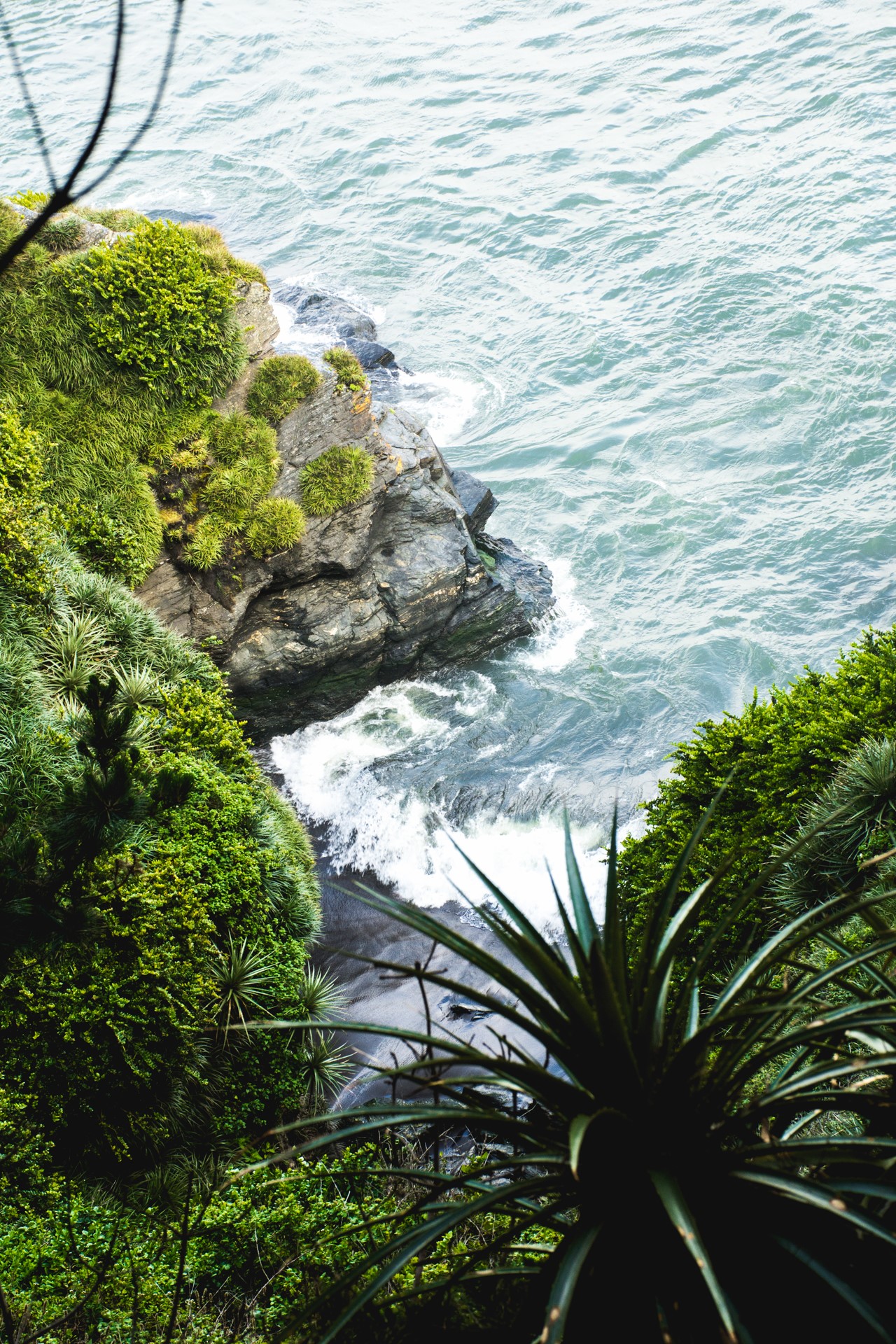 Ocean waves crashing on a rocky cliff with lush green vegetation HD Phone Wallpaper