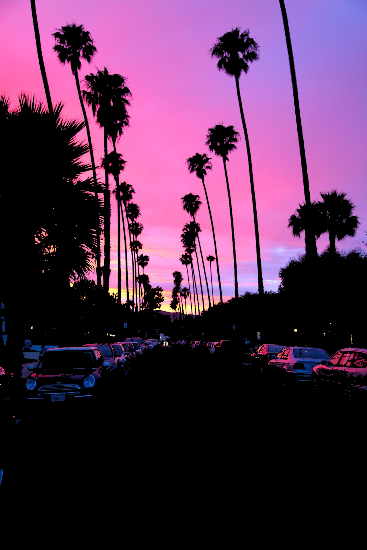 Palm trees lining a street at sunset HD Phone Wallpaper