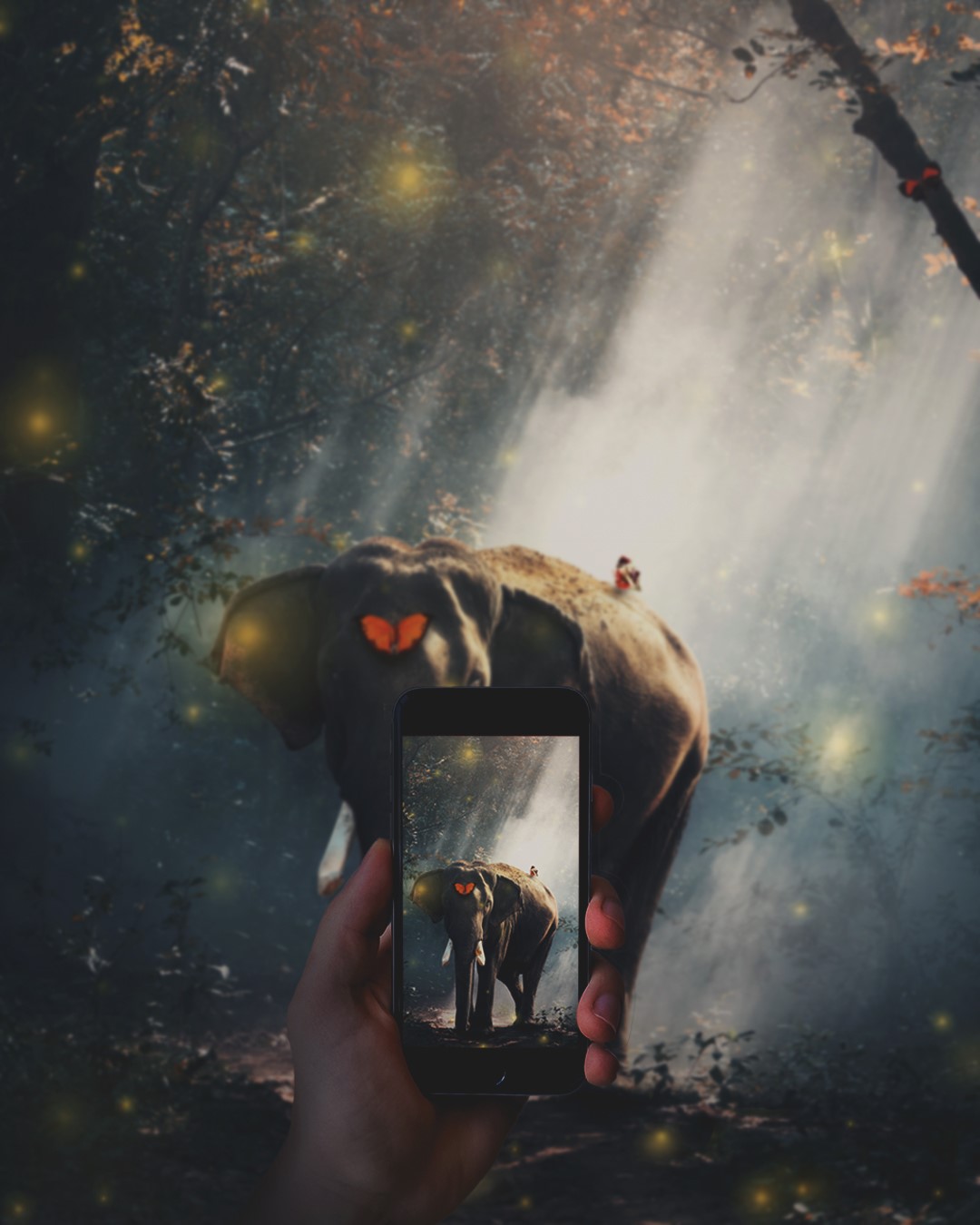 Elephant in a magical forest captured on a smartphone HD Phone Wallpaper