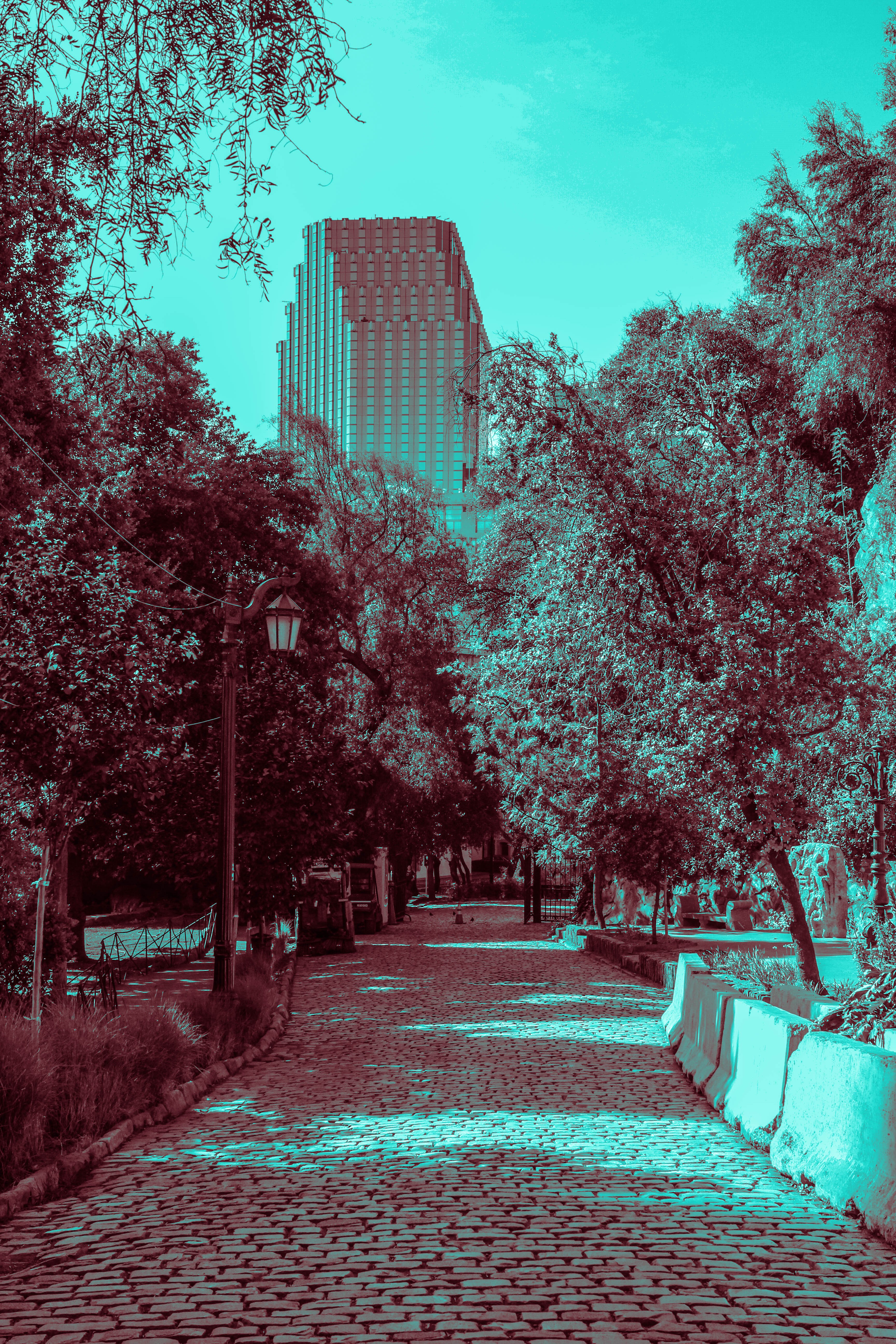 Cobblestone path leading to a modern skyscraper through trees HD Phone Wallpaper