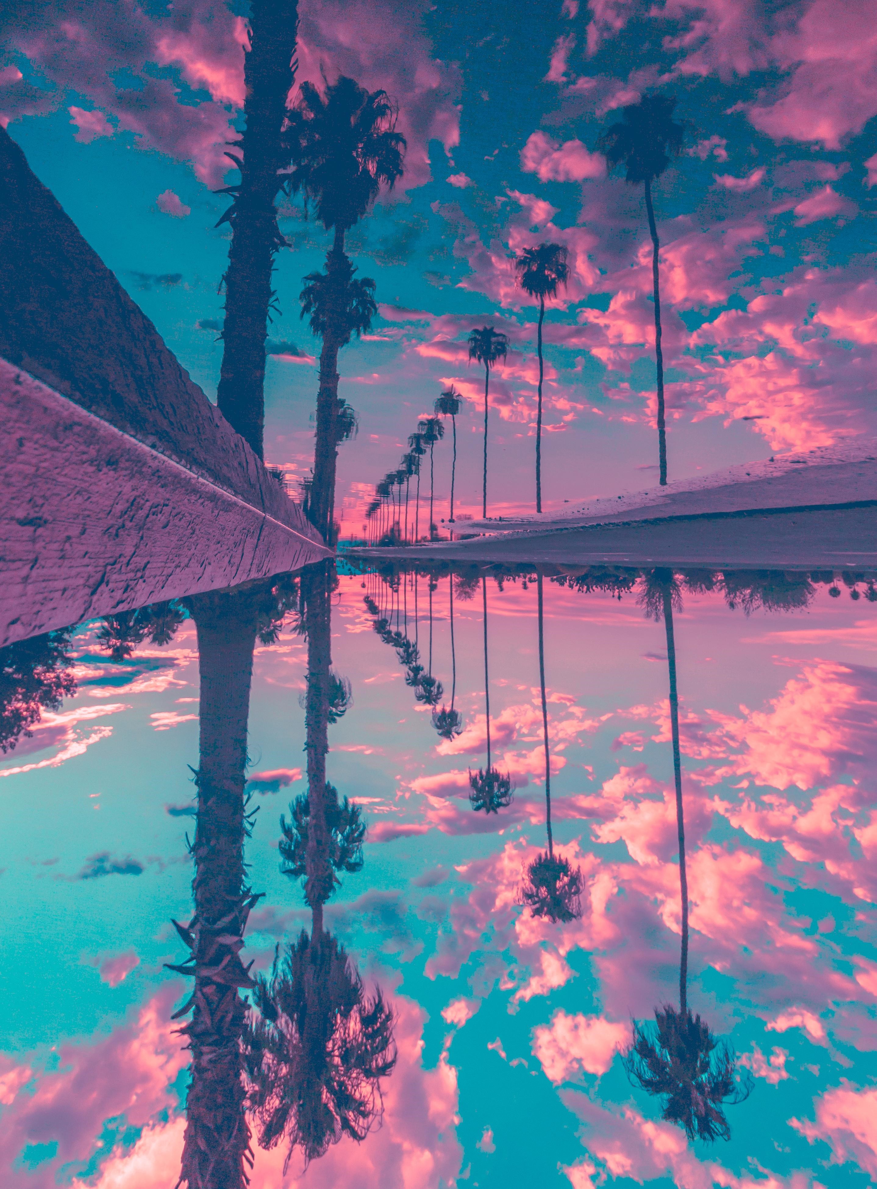 Palm trees reflected in water at sunset HD Phone Wallpaper