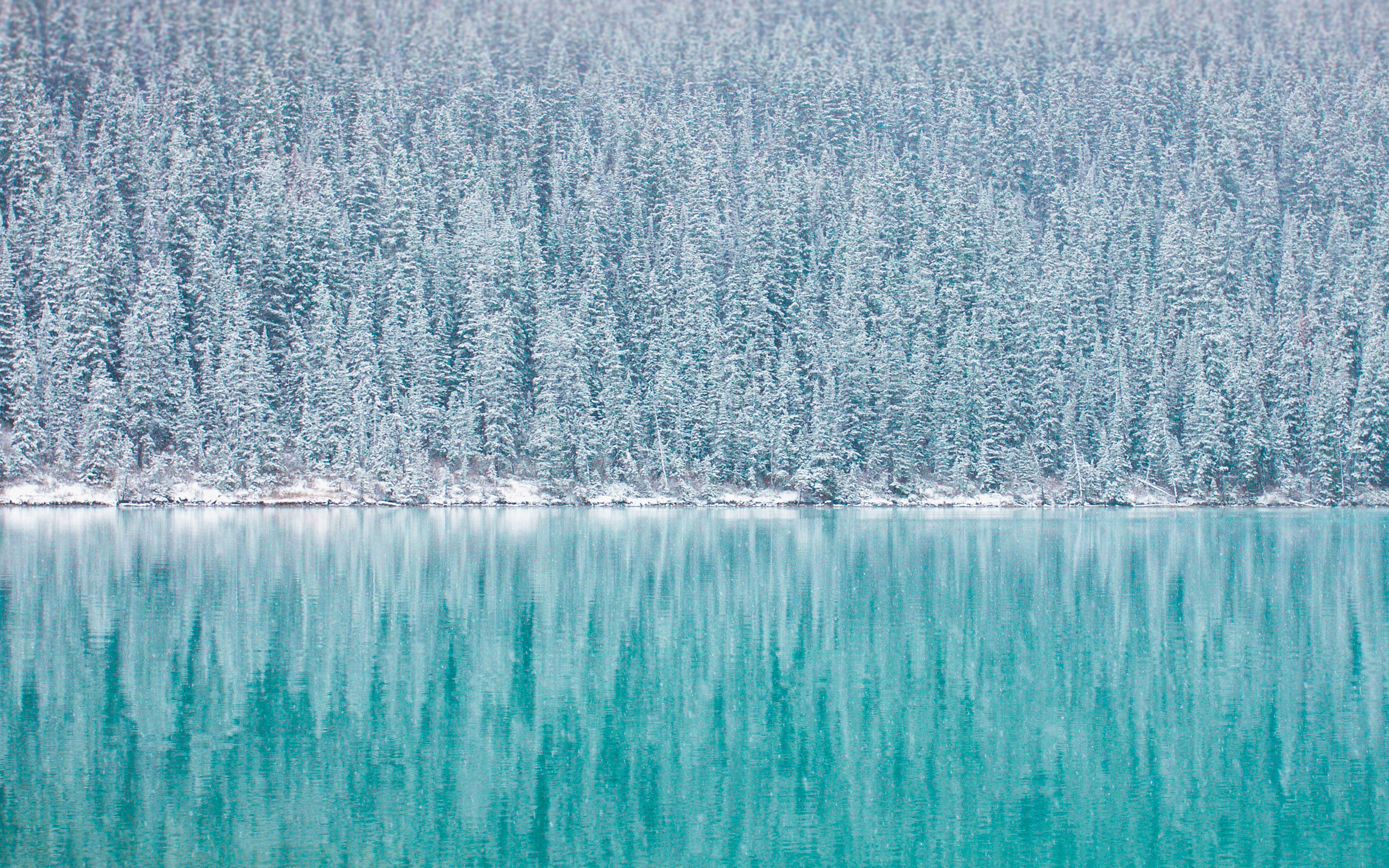 Winter Pine Forest and Turquoise Lake Reflections 4K HD Wallpaper