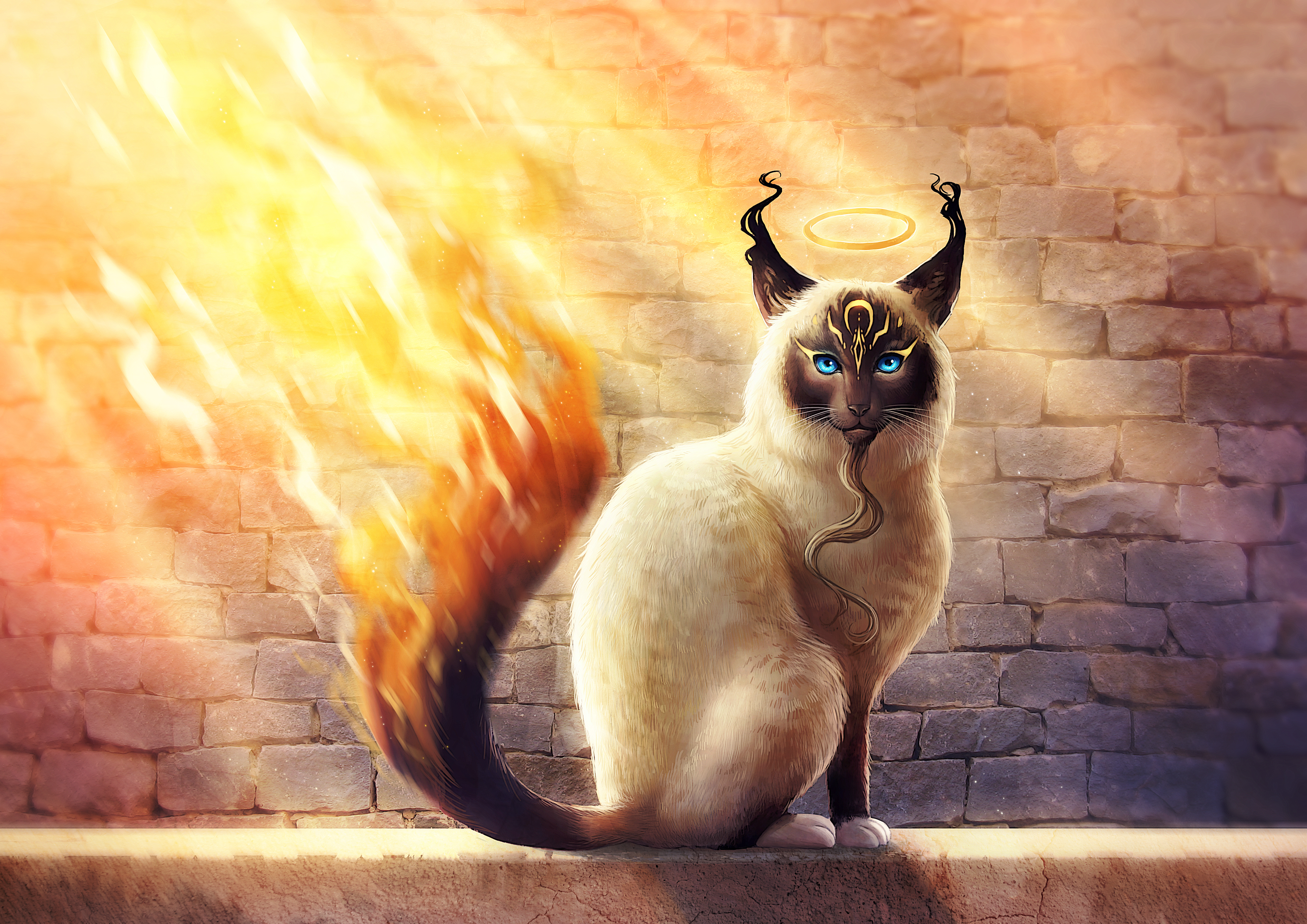 Catamancer with flaming tail and halo HD Wallpaper
