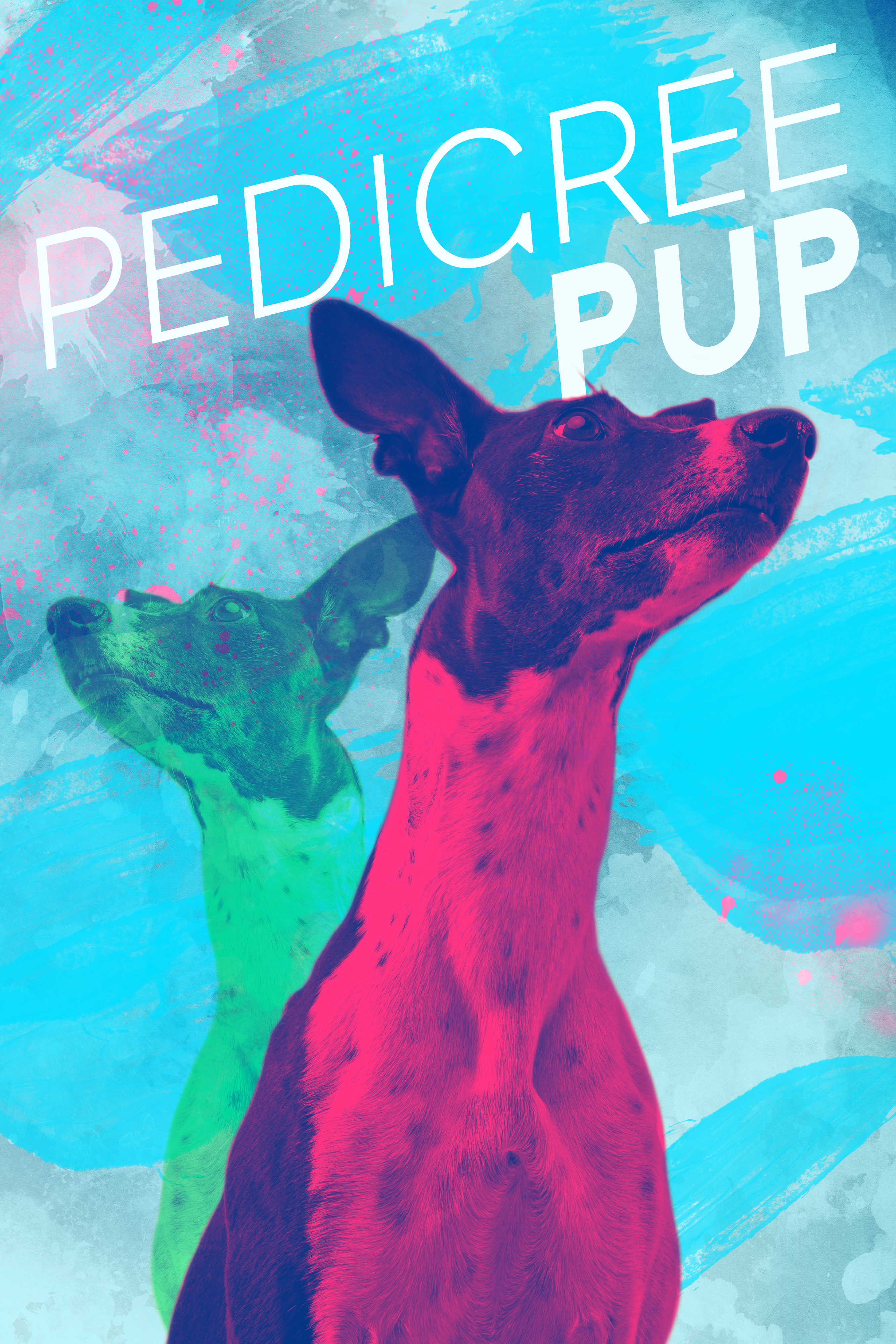 Pedigree Pup HD Phone Wallpaper