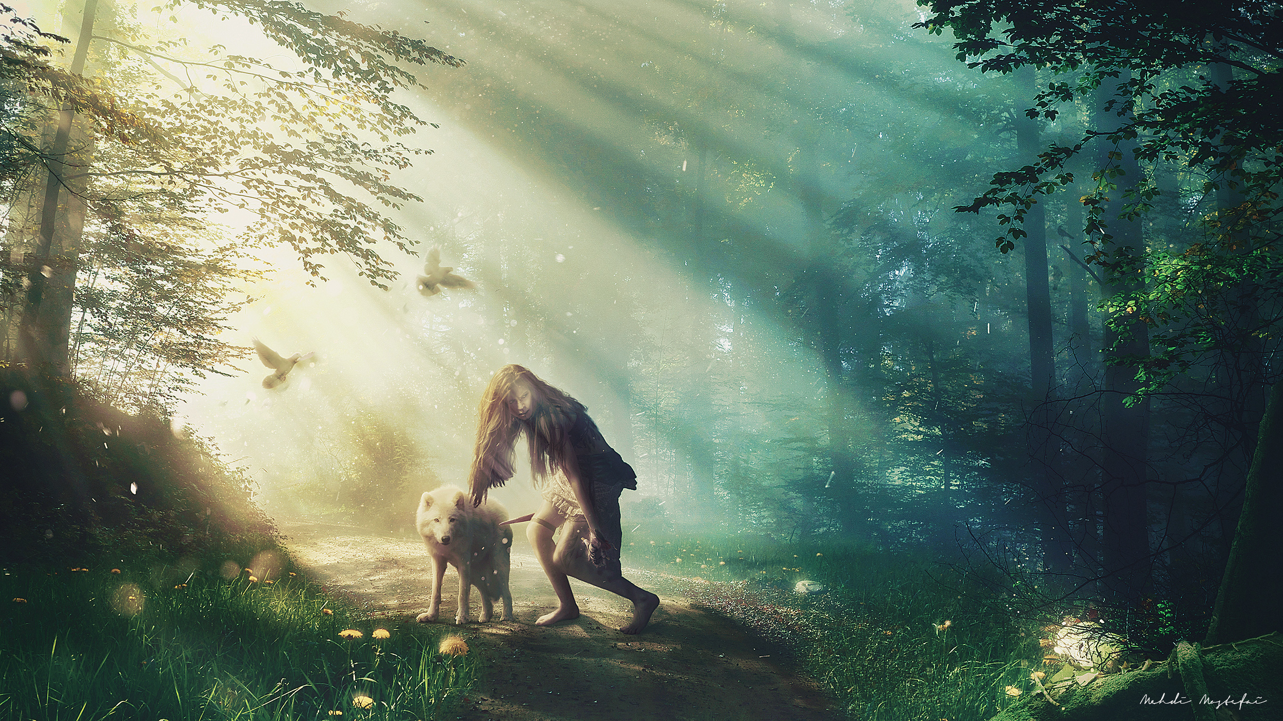 Surreal forest scene with a person and a white wolf HD Wallpaper