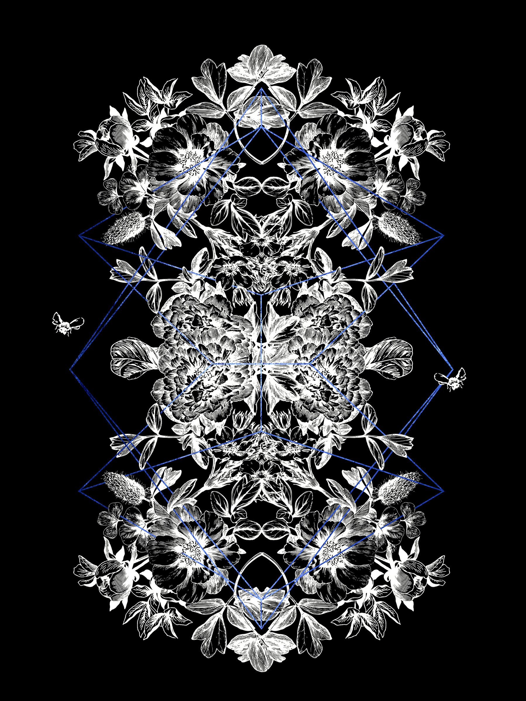 Symmetrical floral illustration with geometric elements and butterflies HD Phone Wallpaper