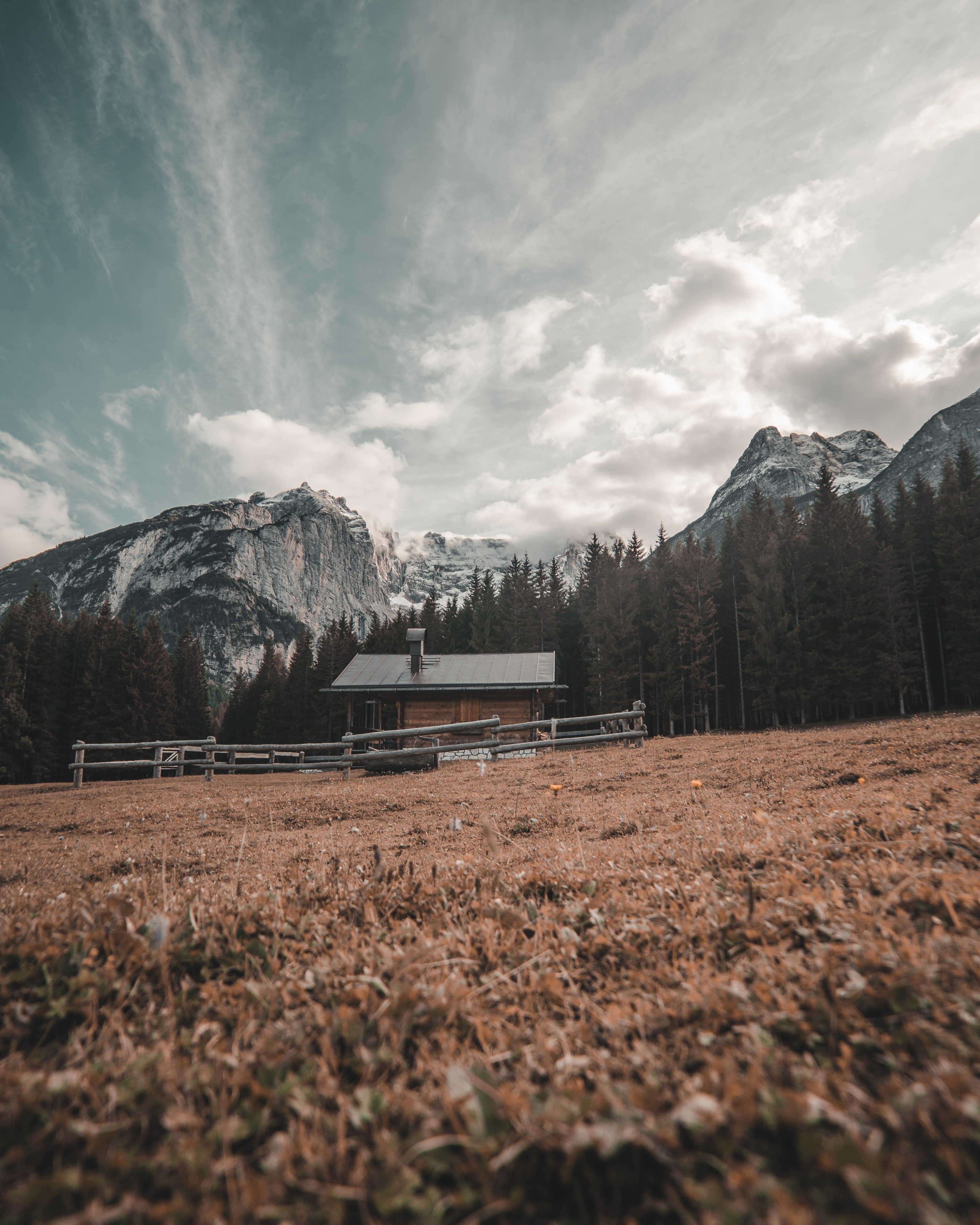 Wooden cabin in a mountain landscape with pine trees HD Phone Wallpaper