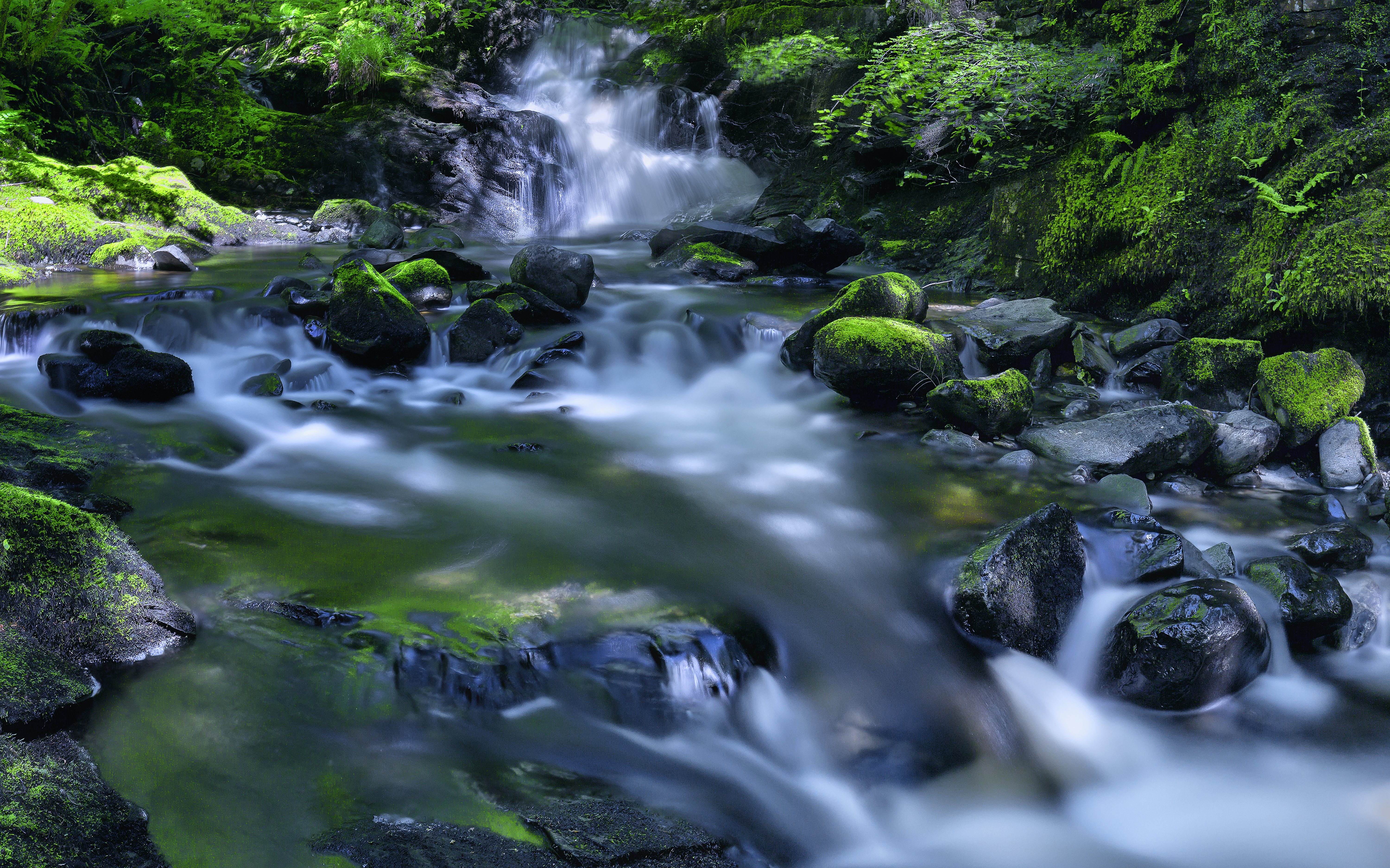 Waterfall in Kirkton Glen Forest HD Wallpaper