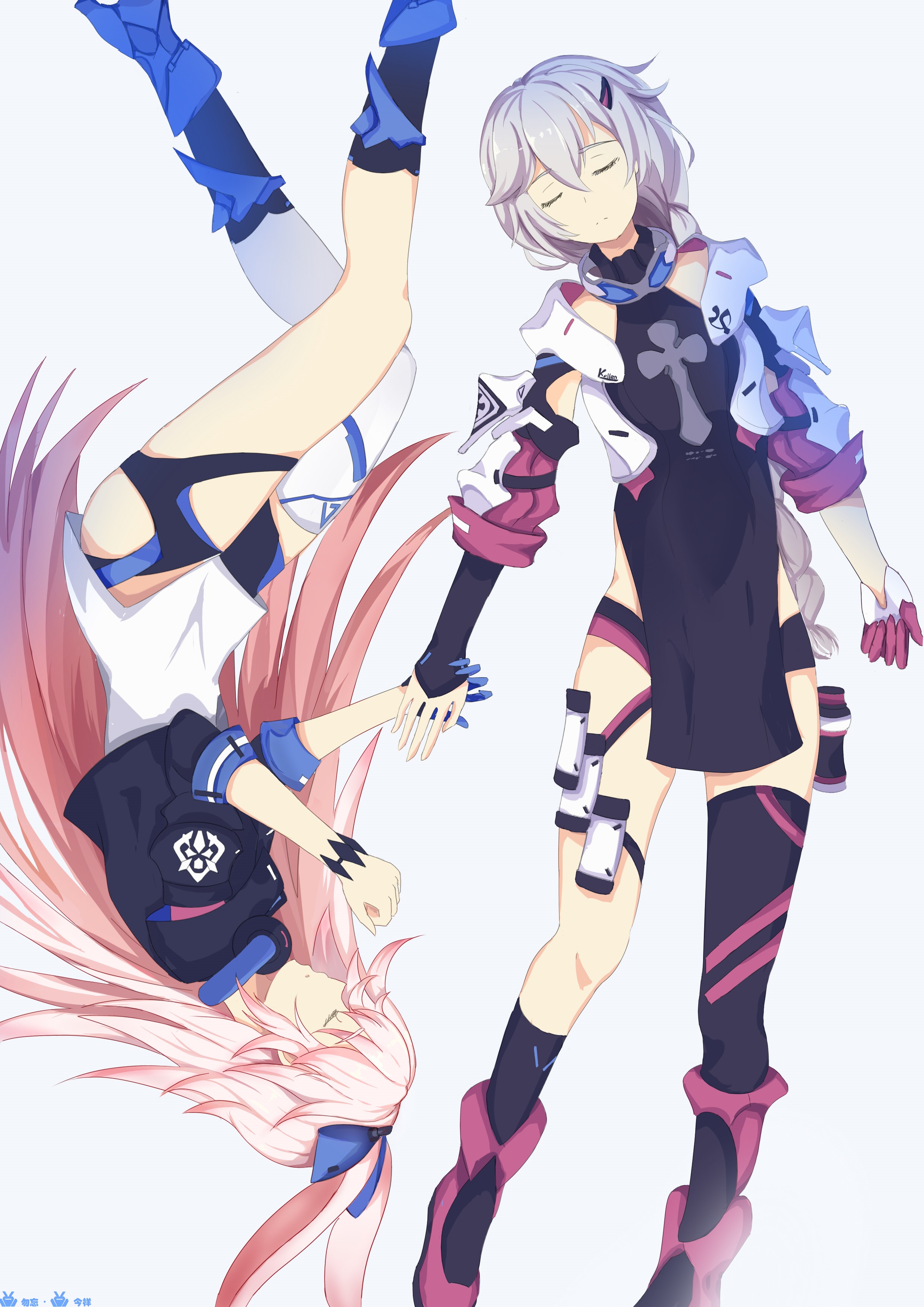 Two anime girls from Honkai Impact HD Phone Wallpaper