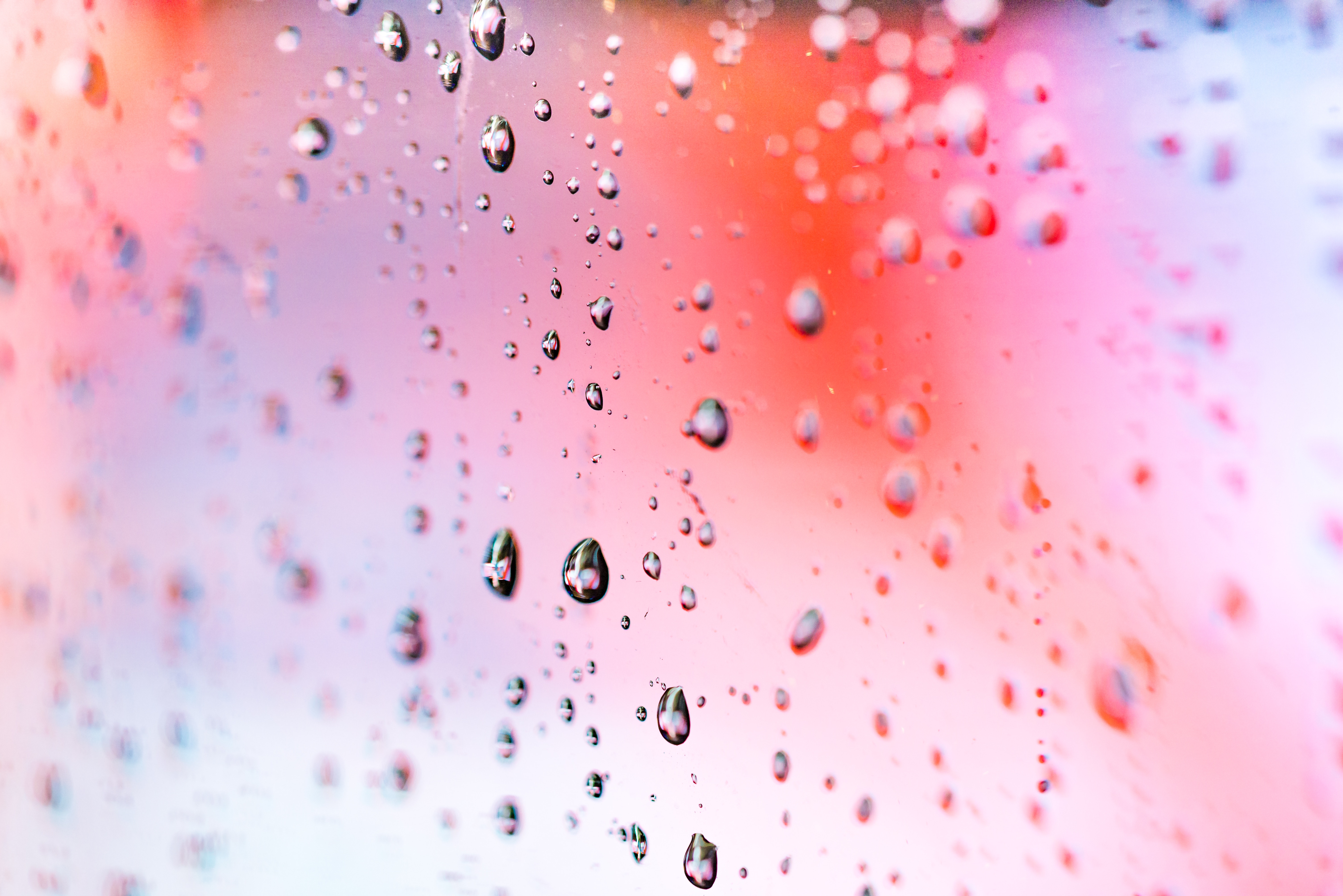Macro view of water droplets on a colorful background HD Wallpaper