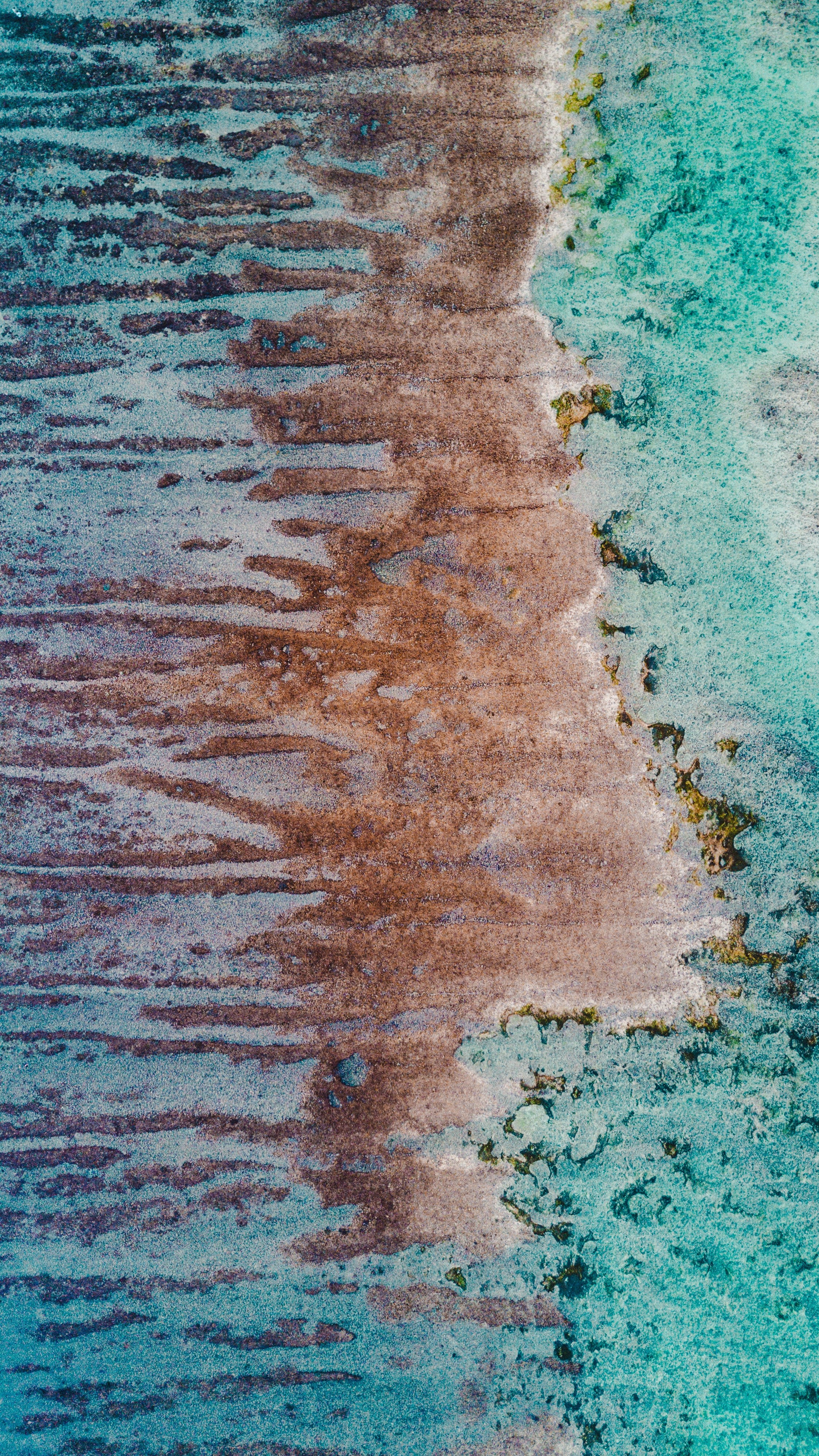 Aerial view of coral reef and shallow water HD Phone Wallpaper