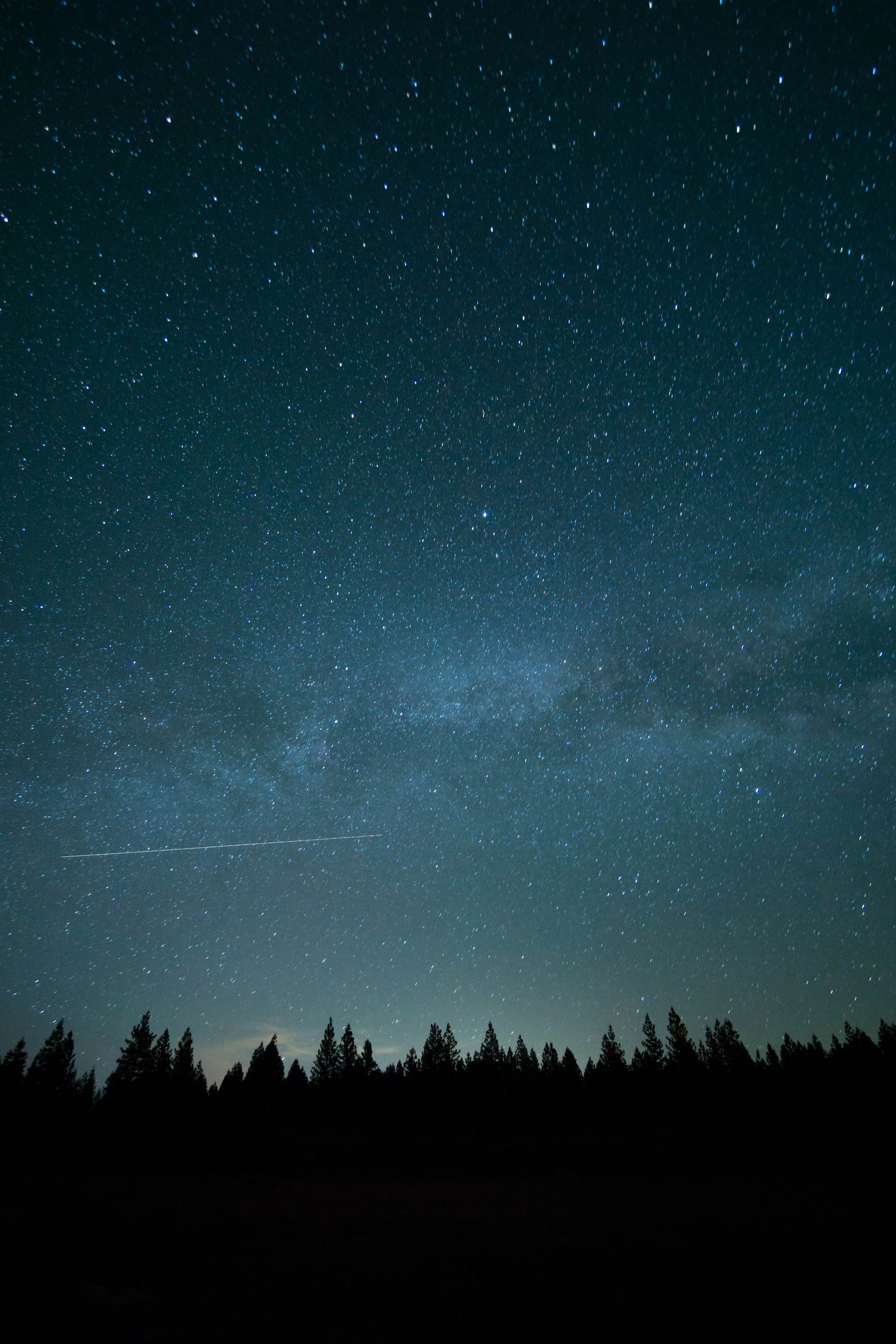 Night sky with stars over a forest silhouette HD Phone Wallpaper