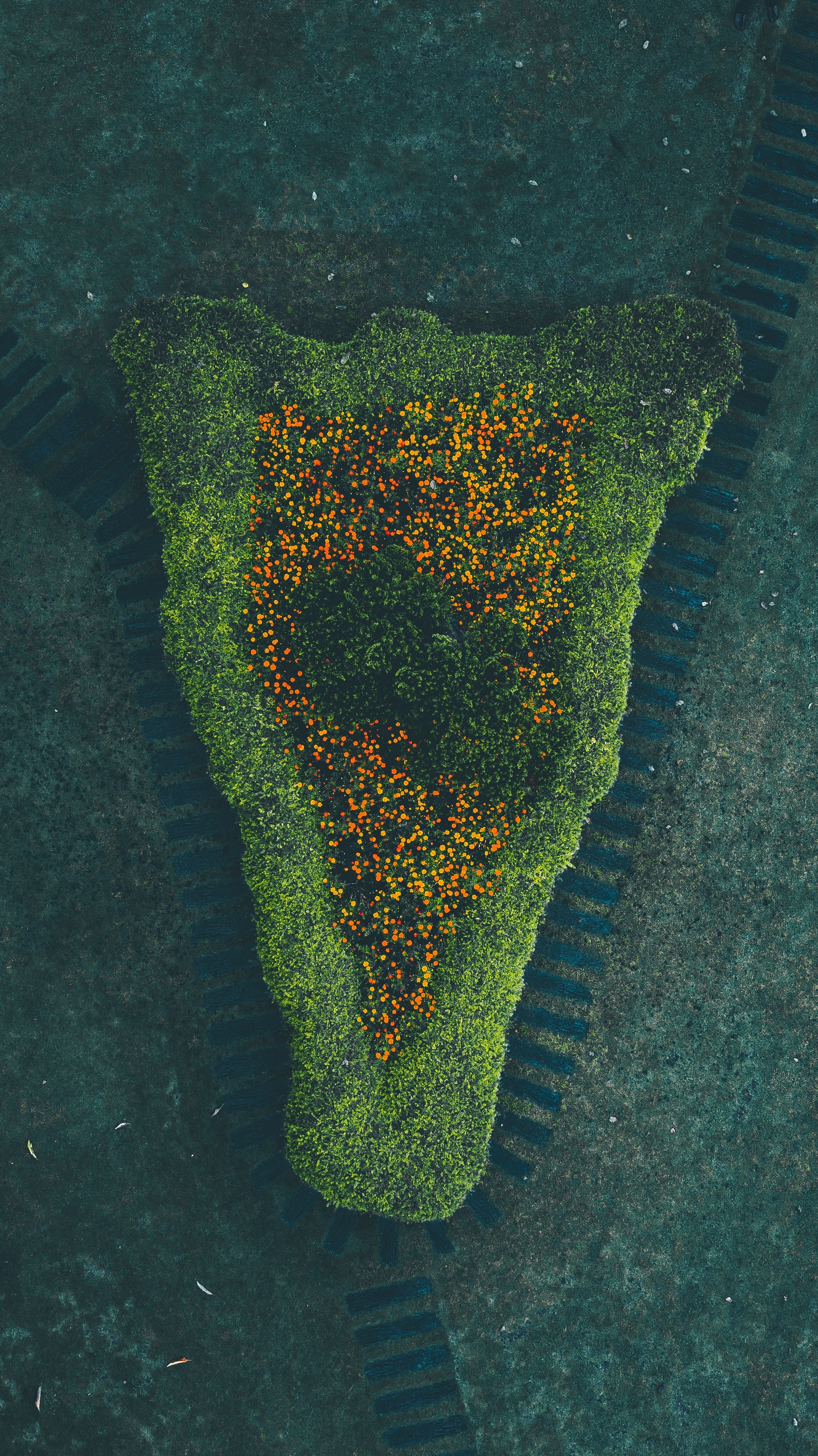 Top-down view of a garden bed shaped like a footprint HD Phone Wallpaper