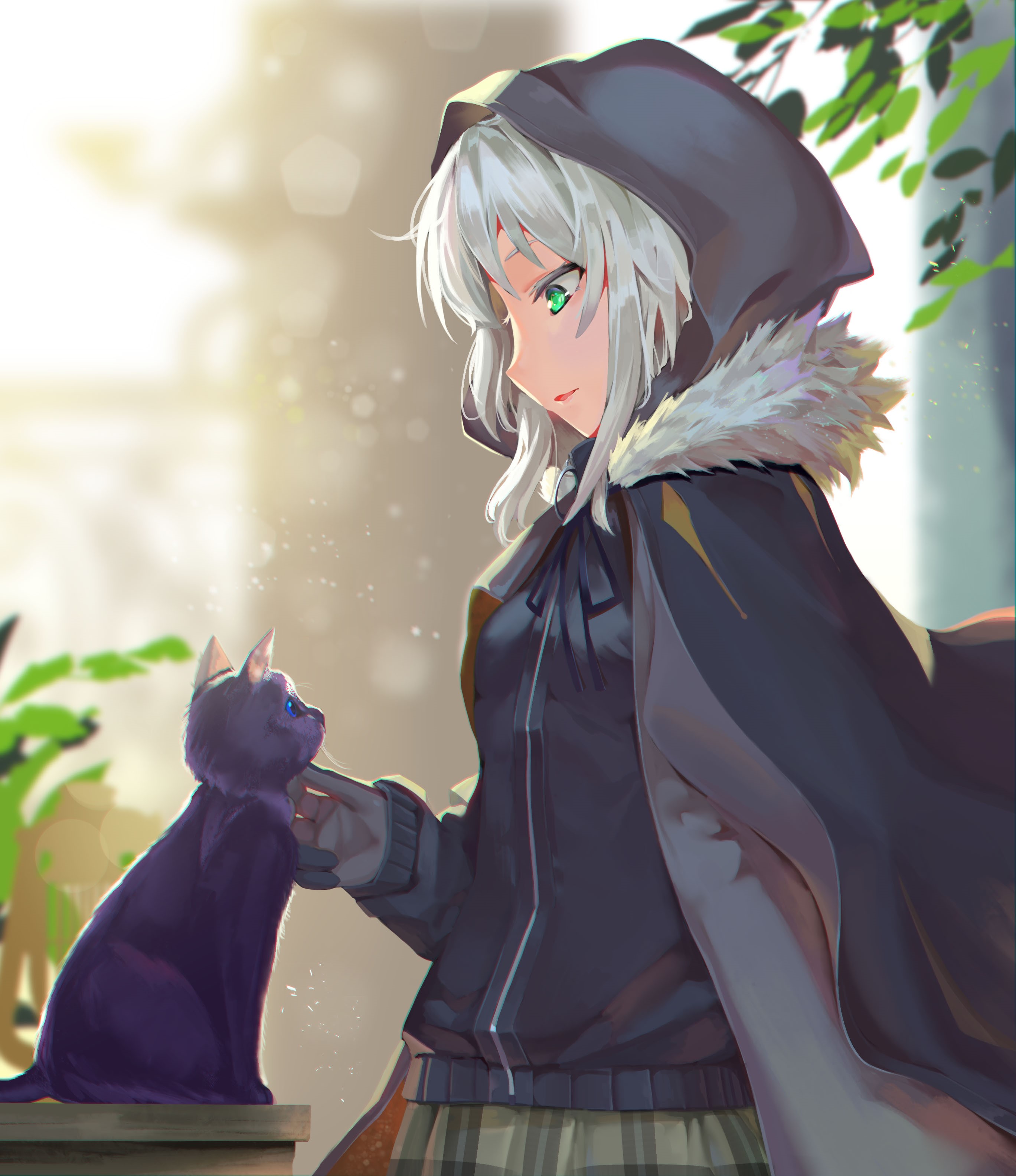 Gray from Lord El-Melloi II Case Files with Black Cat HD Phone Wallpaper