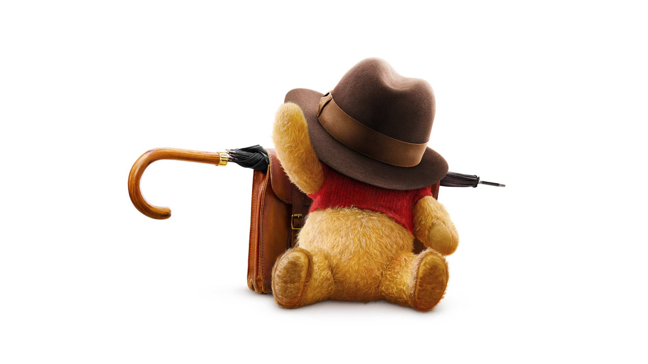 Winnie the Pooh with Suitcase and Umbrella HD Wallpaper