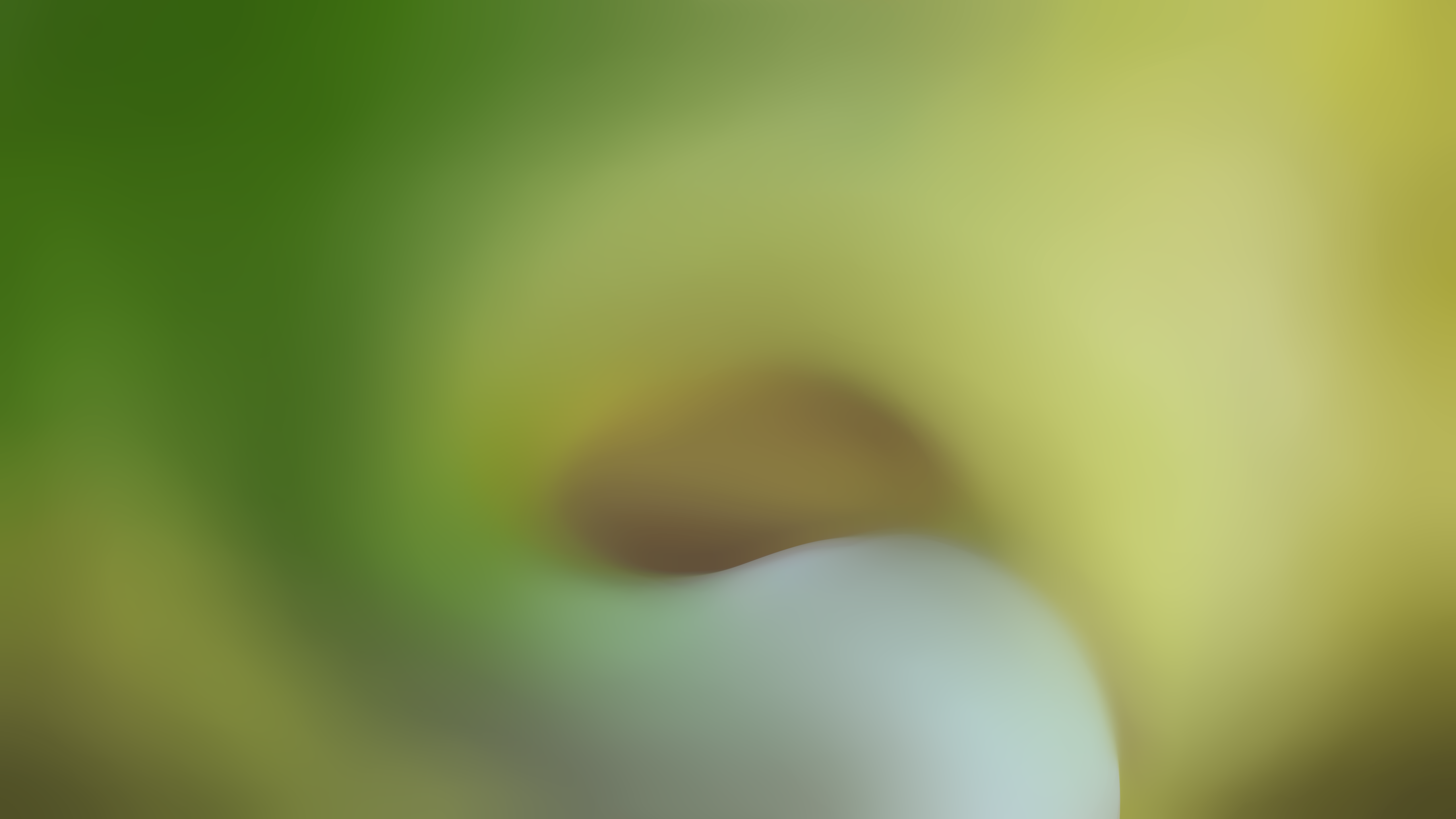 Abstract green and yellow swirl HD Wallpaper