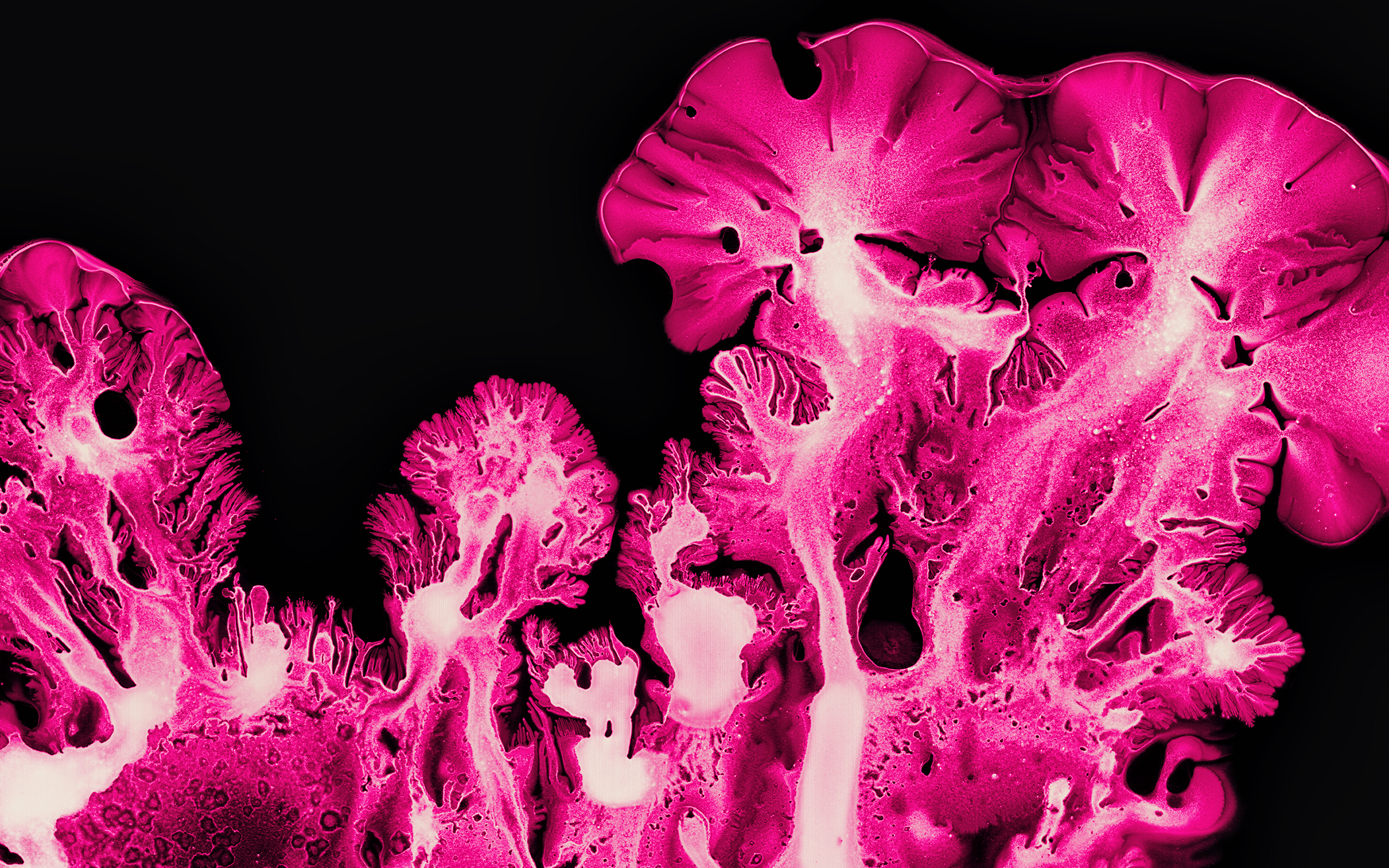 Pink Ink Art Macro Abstract HD Wallpaper