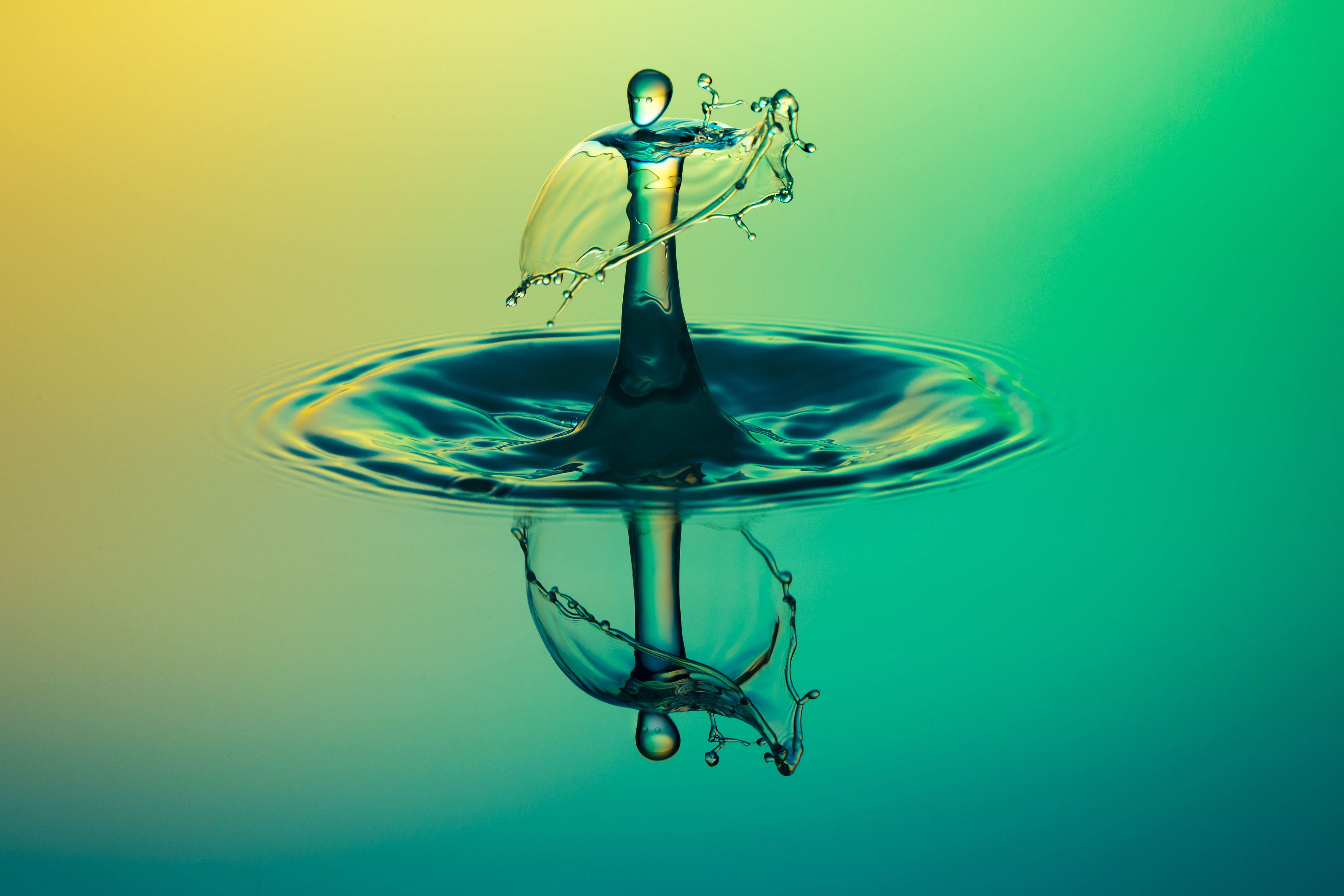 Macro water drop splash HD Wallpaper