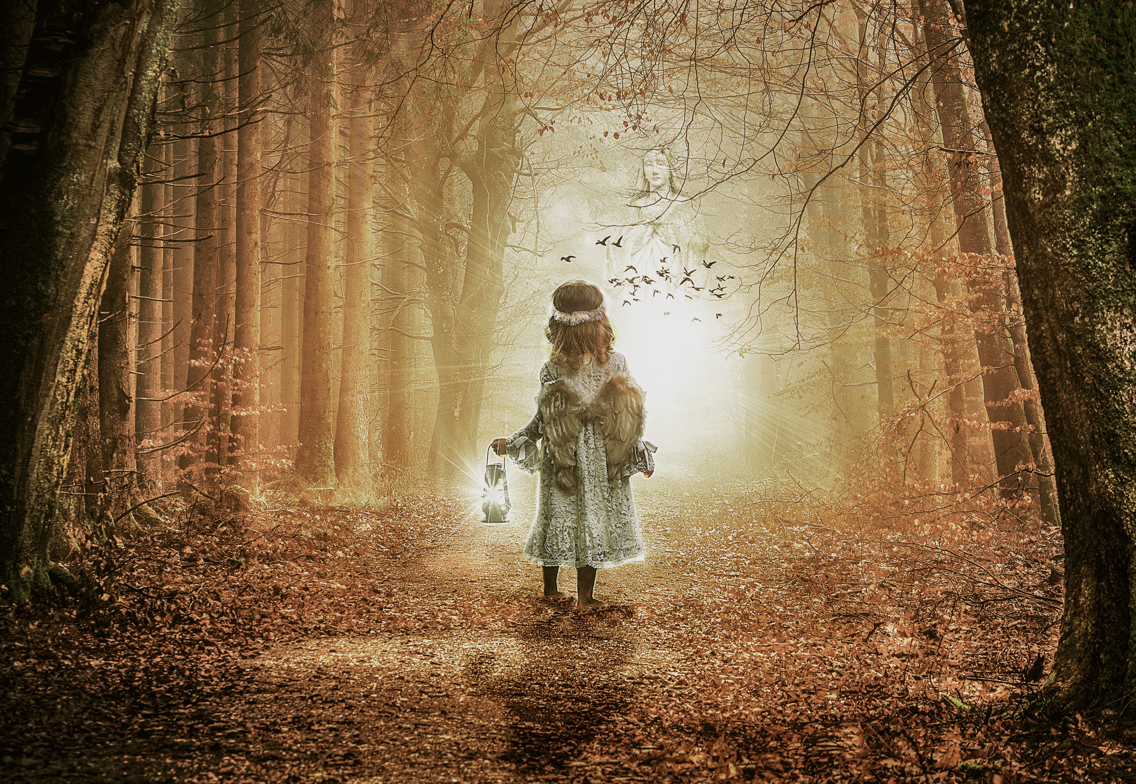Girl with Lantern in Autumn Forest HD Wallpaper