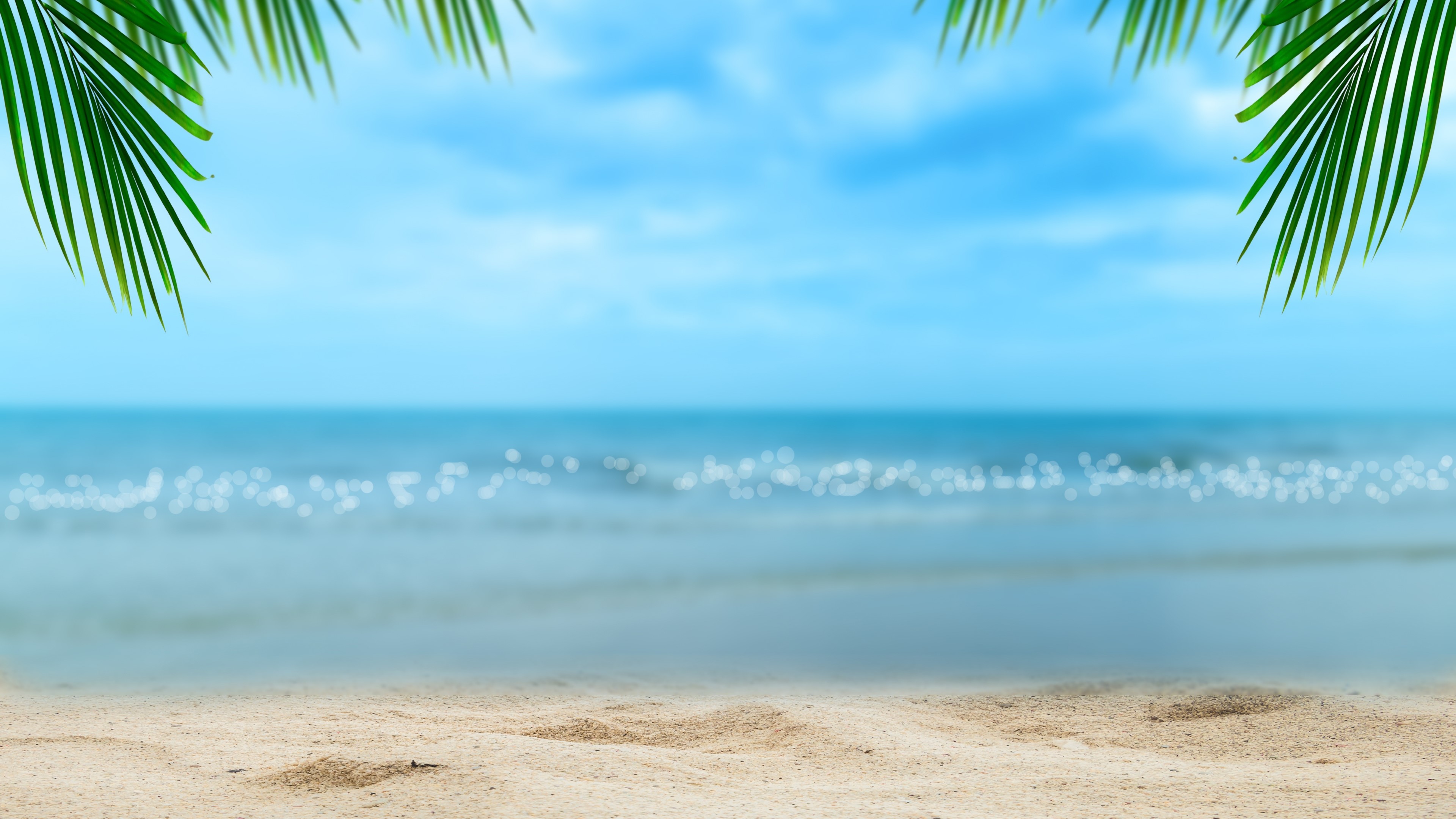 4K Summer Beach with Palm Leaves HD Wallpaper