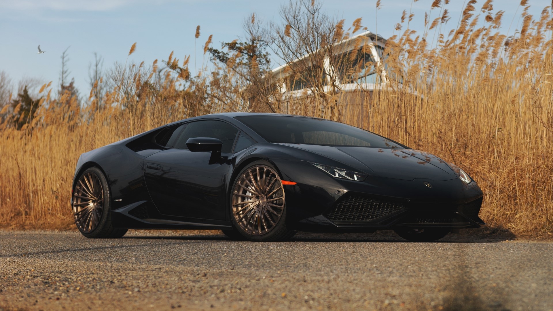 Black Lamborghini Huracan on a gravel road HD Wallpaper