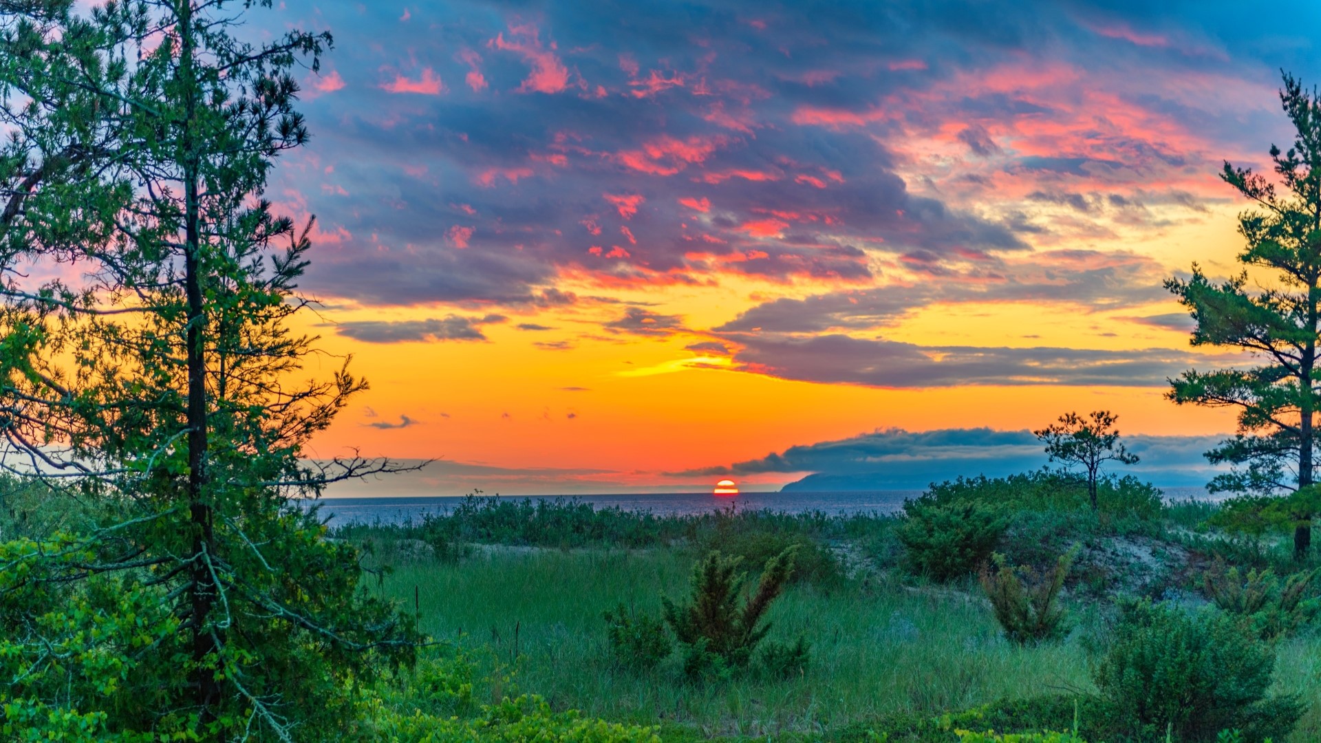 Sunset over a body of water with trees HD Wallpaper