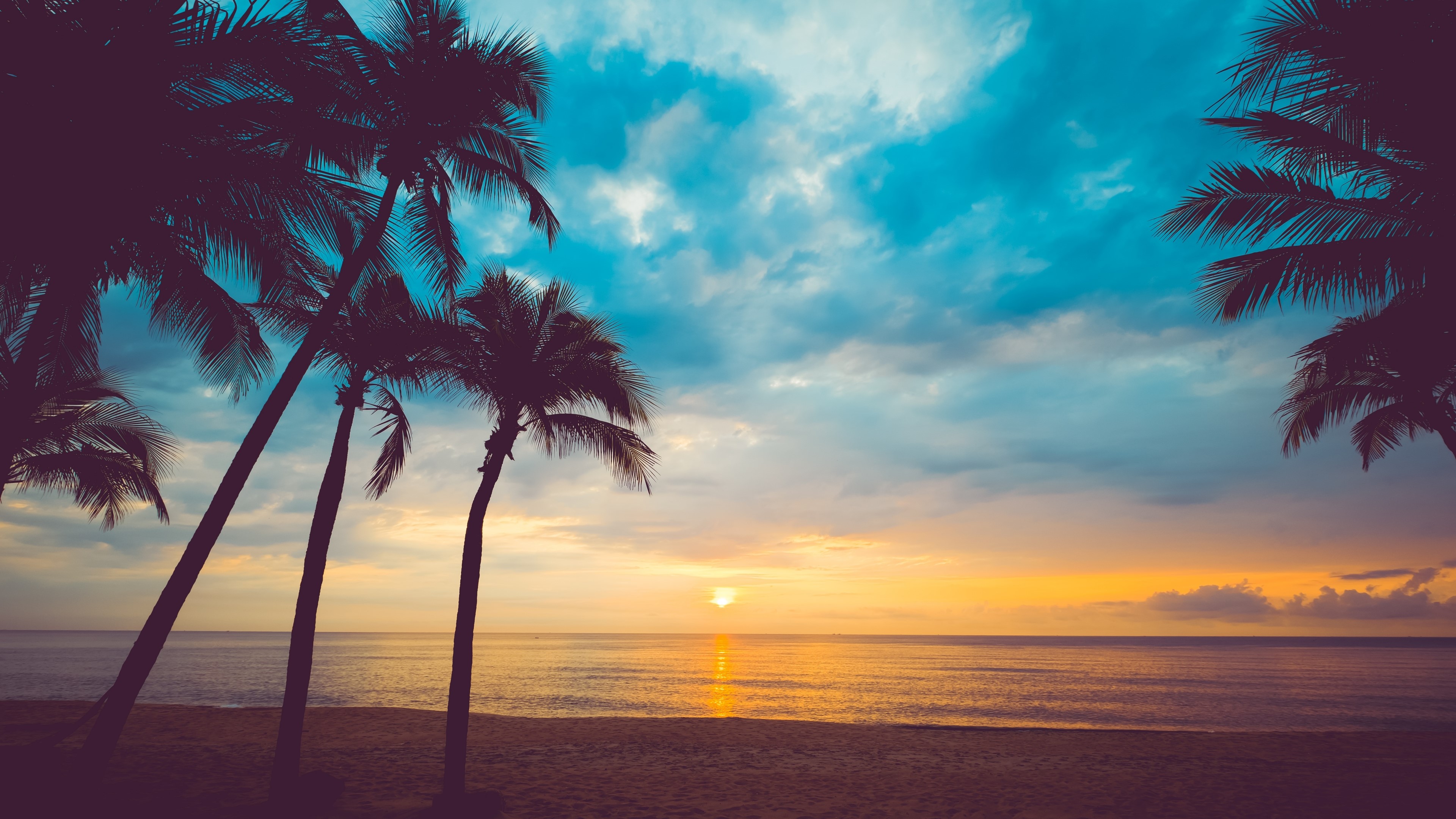 Sunset over the ocean with palm trees HD Wallpaper