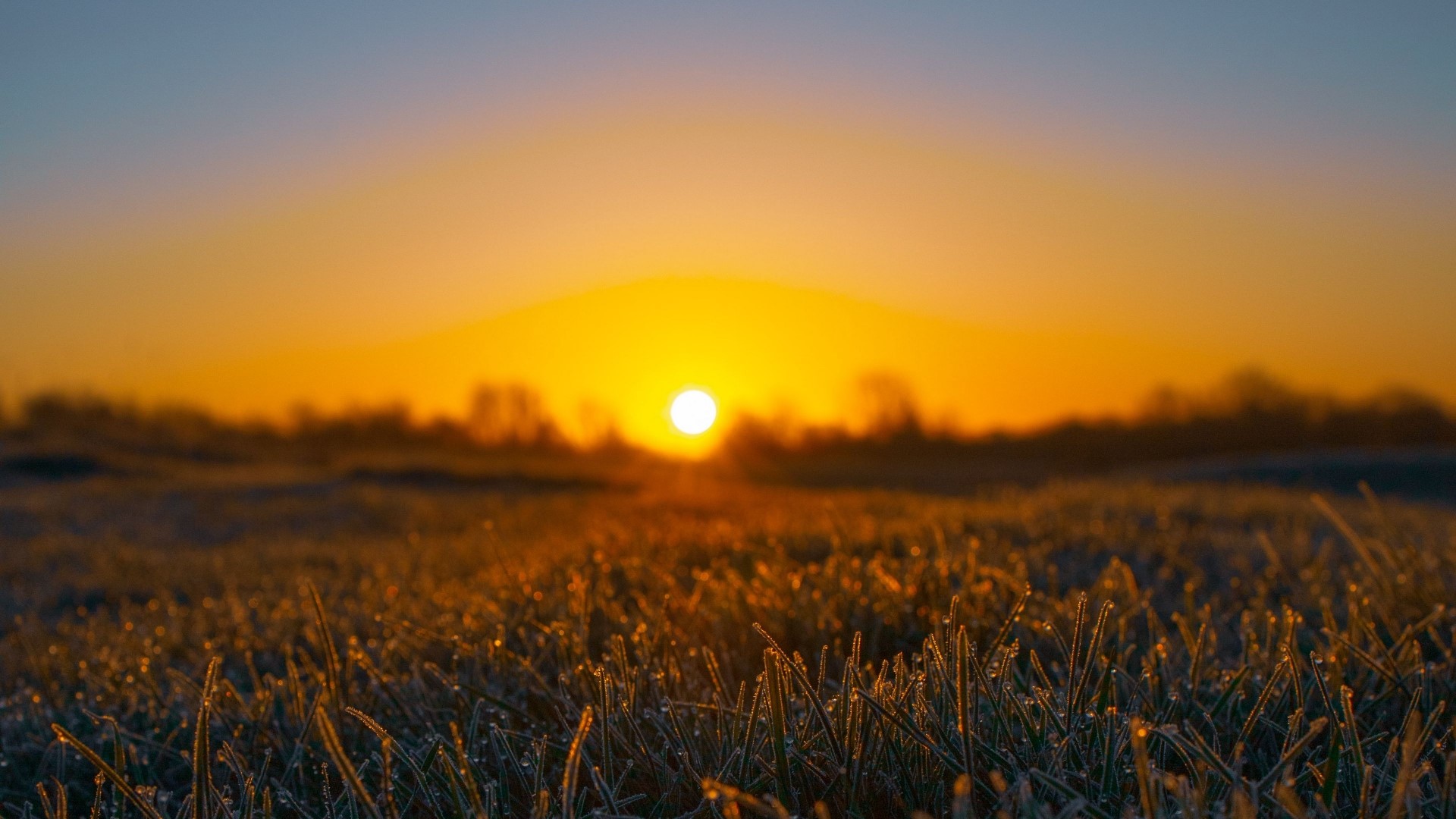 Sunrise over a frosty field HD Wallpaper
