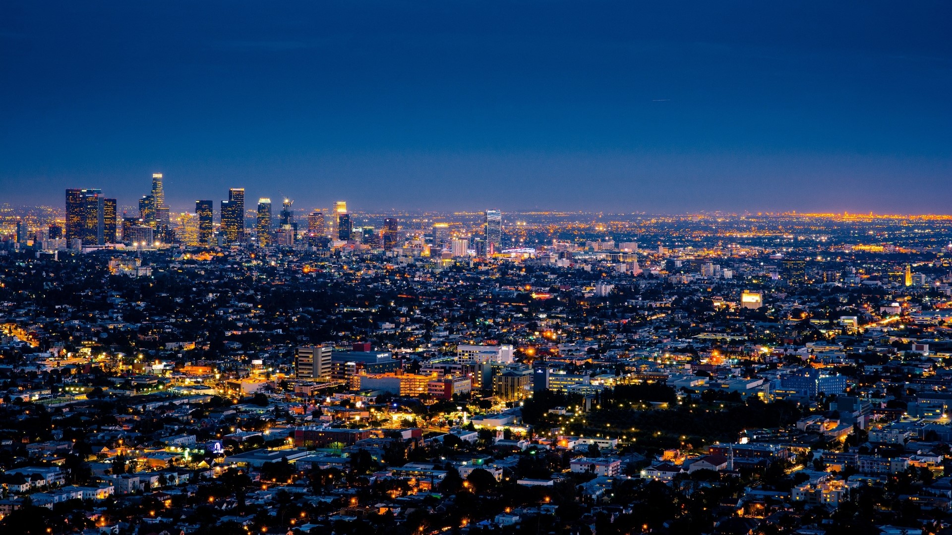 Night cityscape with illuminated buildings and skyline HD Wallpaper