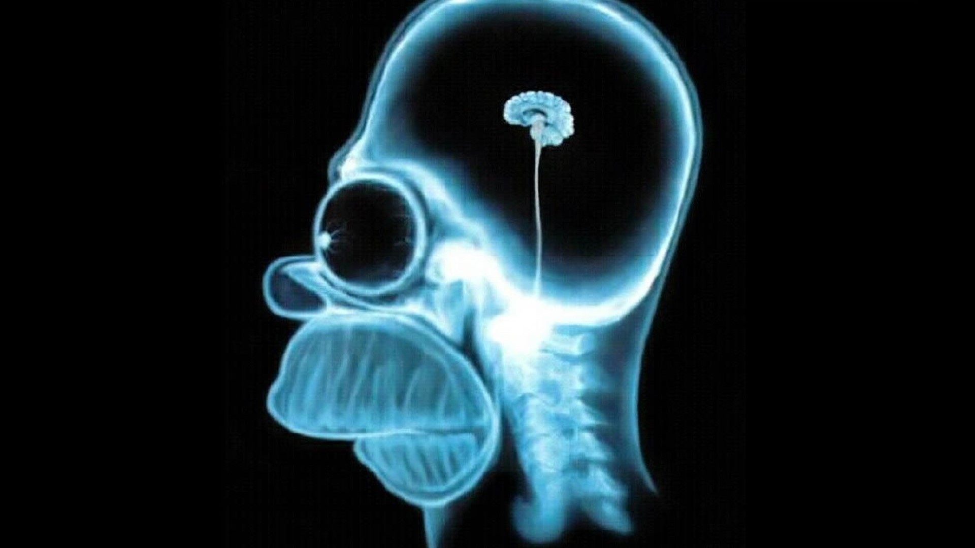 Homer Simpson X-ray brain HD Wallpaper