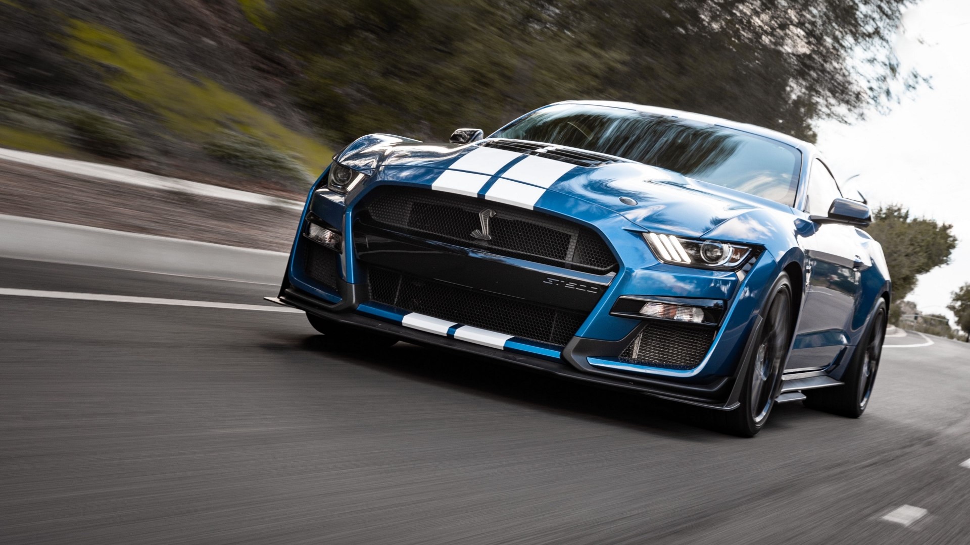 Blue Shelby GT500 driving on a road HD Wallpaper