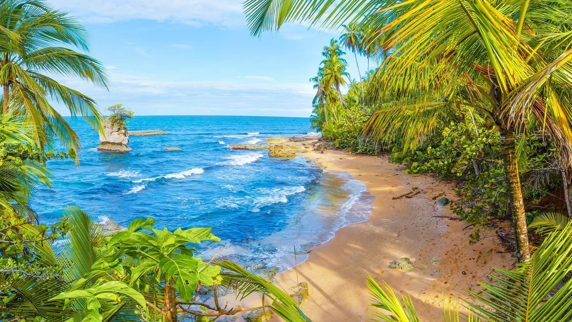 Tropical beach with palm trees and ocean waves HD Wallpaper