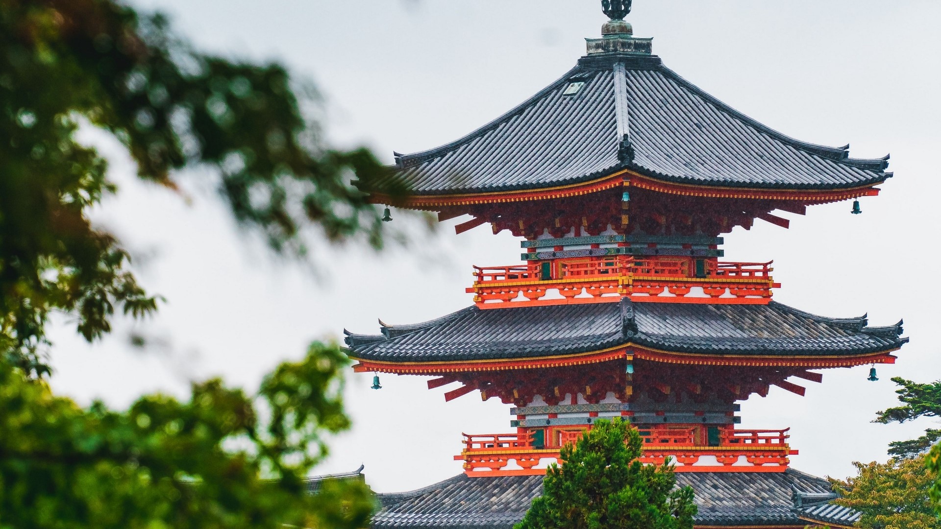 Japanese Temple Pagoda with Trees HD Wallpaper