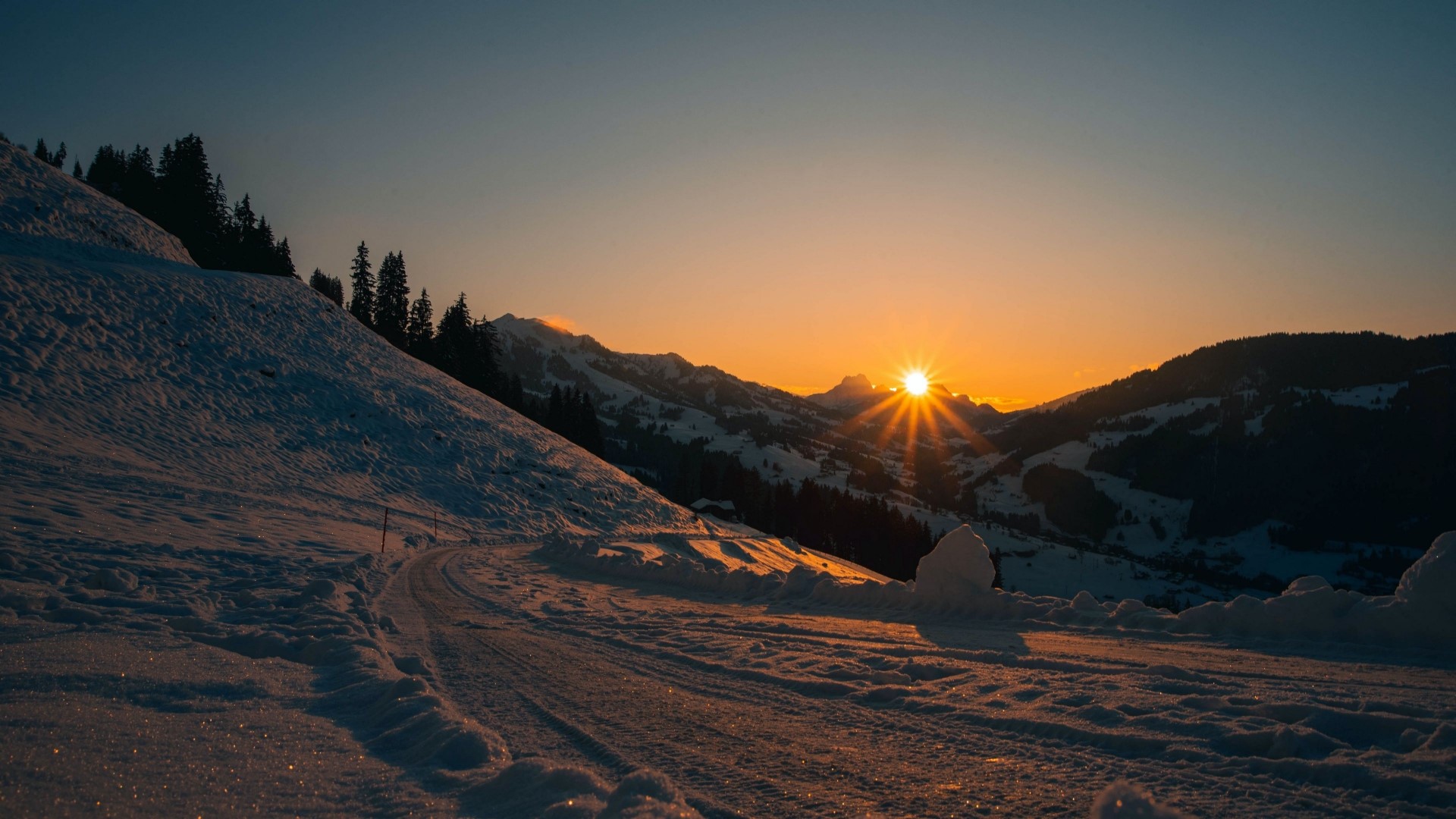Sunset over snowy mountains with pine trees HD Wallpaper