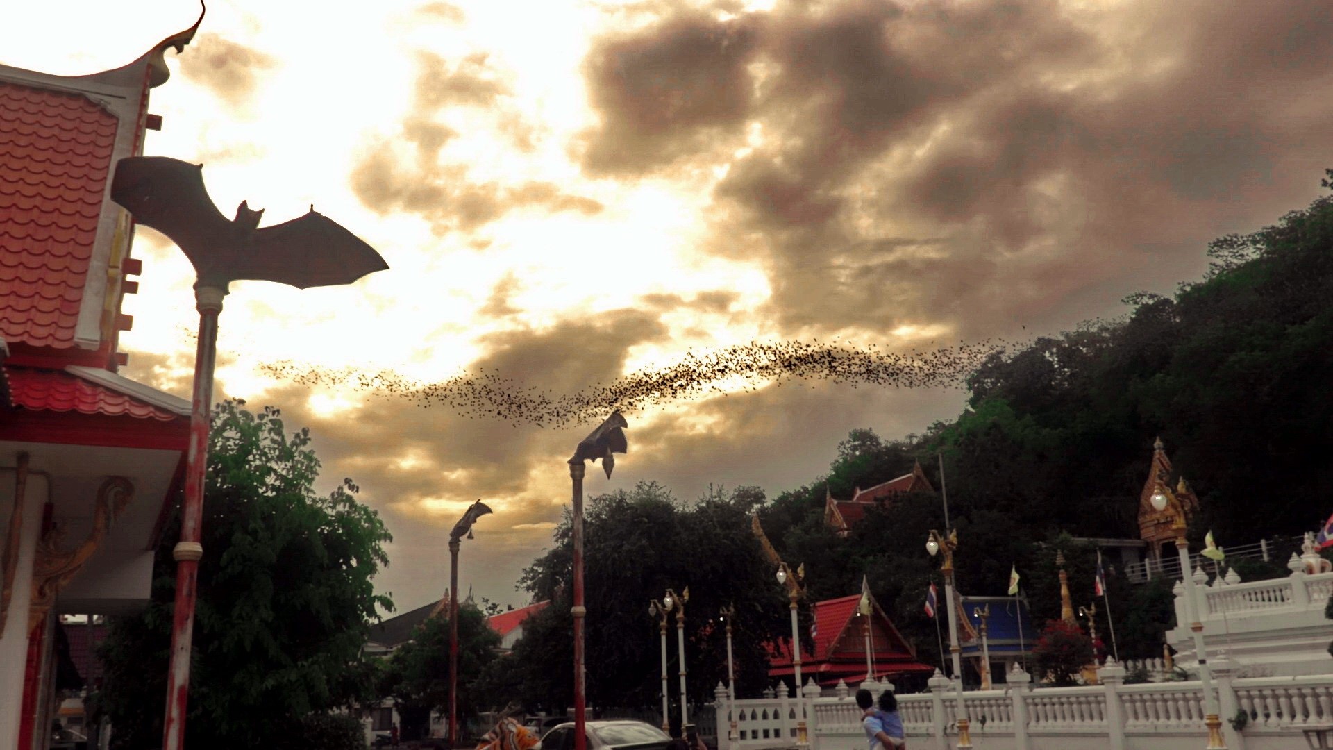 Wat Khao Chong Pran Temple with bats flying at sunset HD Wallpaper