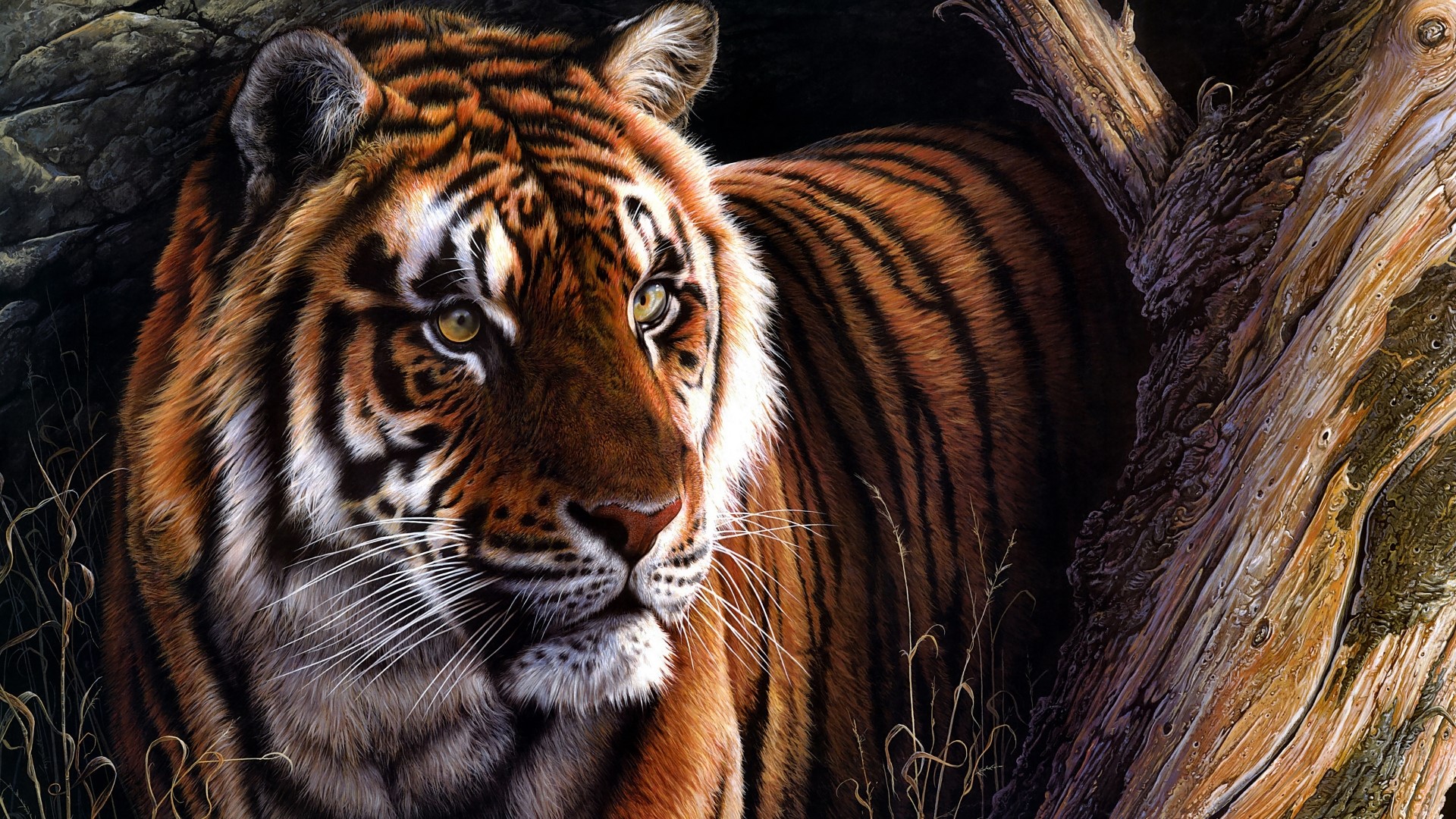 Tiger in a natural environment HD Wallpaper