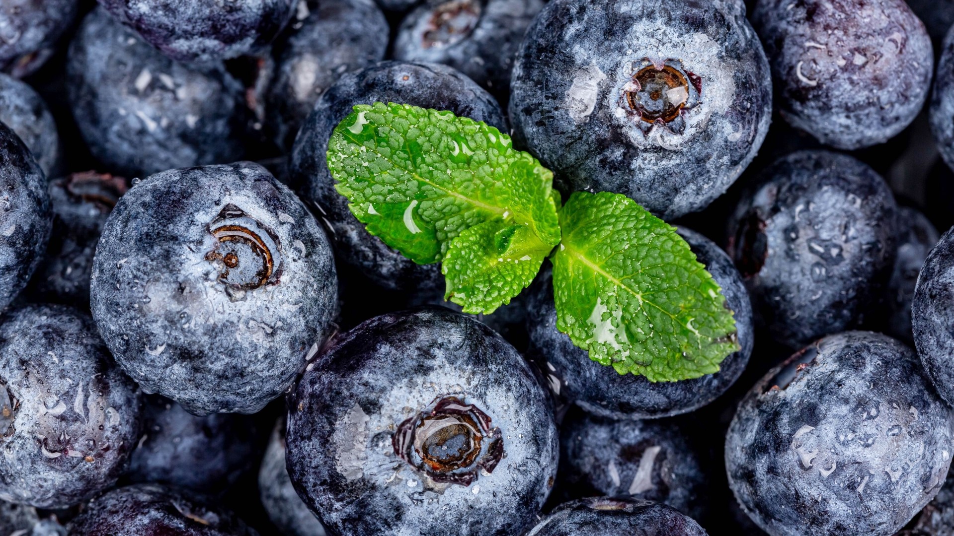 Close-up of fresh blueberries with mint leaves HD Wallpaper