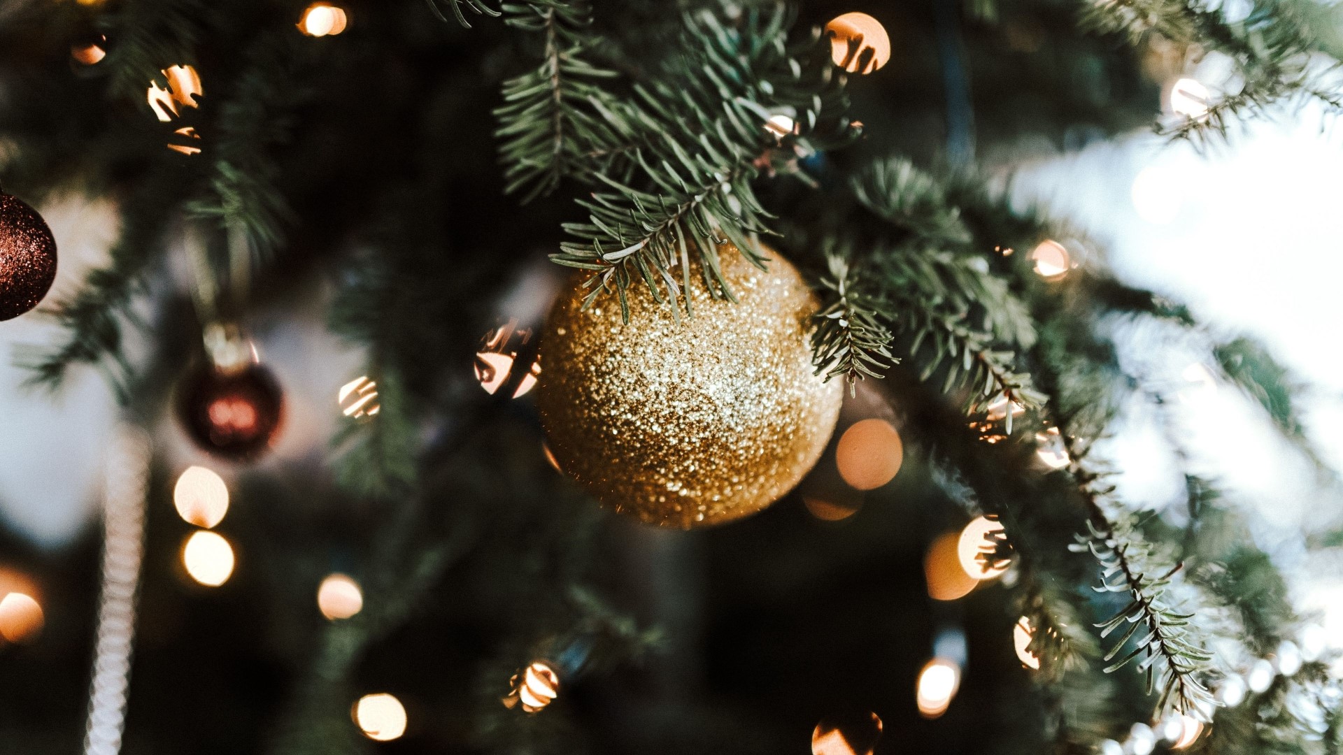 Close-up of a gold Christmas ornament on a tree HD Wallpaper