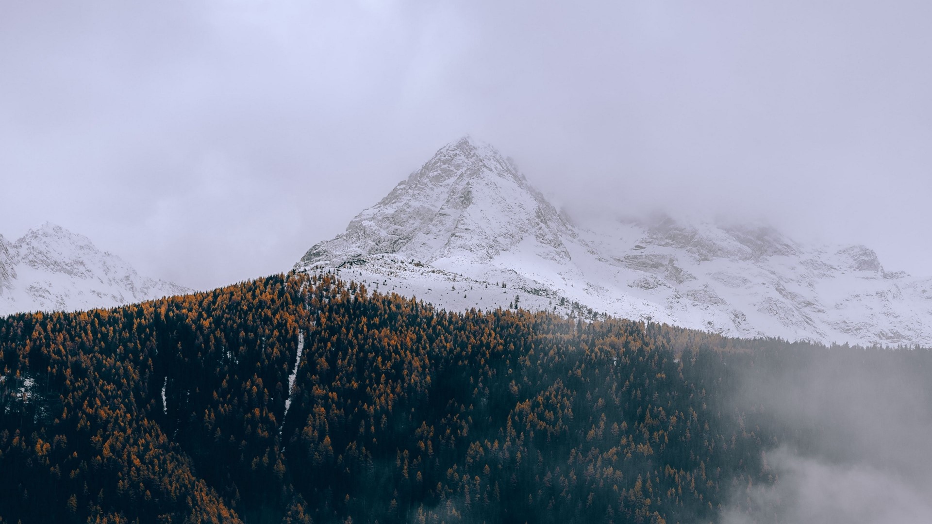 Snow-capped mountains above a forest HD Wallpaper