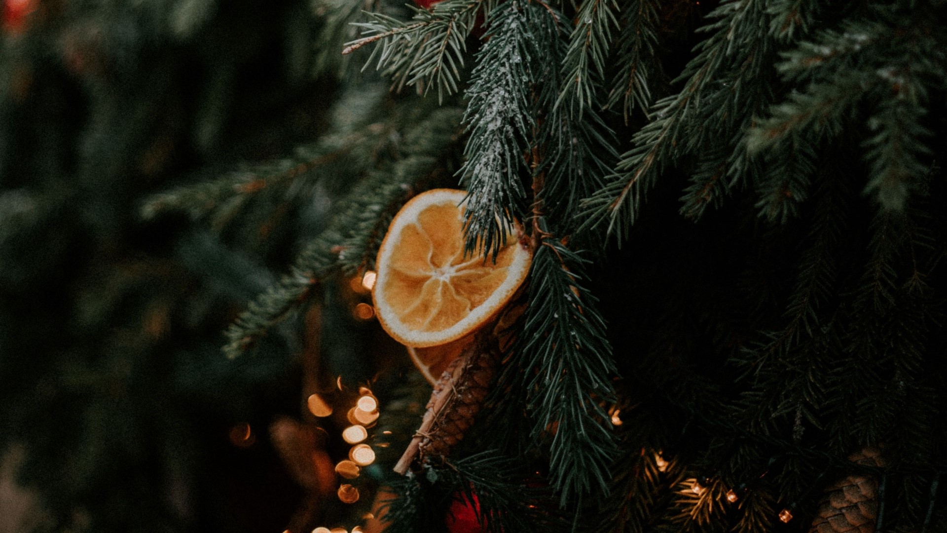 Christmas tree with dried orange slice and pinecone HD Wallpaper
