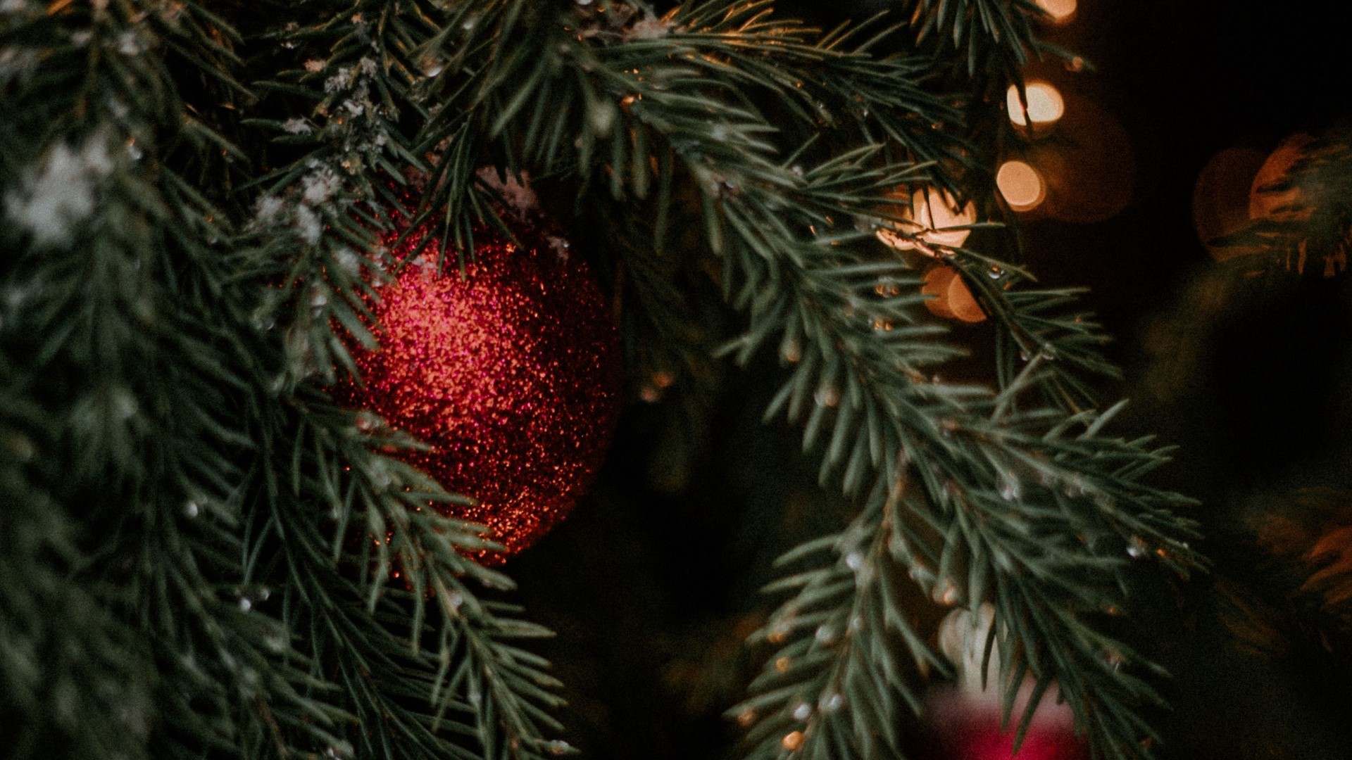 Close-up of a red glittery Christmas ornament on a pine branch HD Wallpaper
