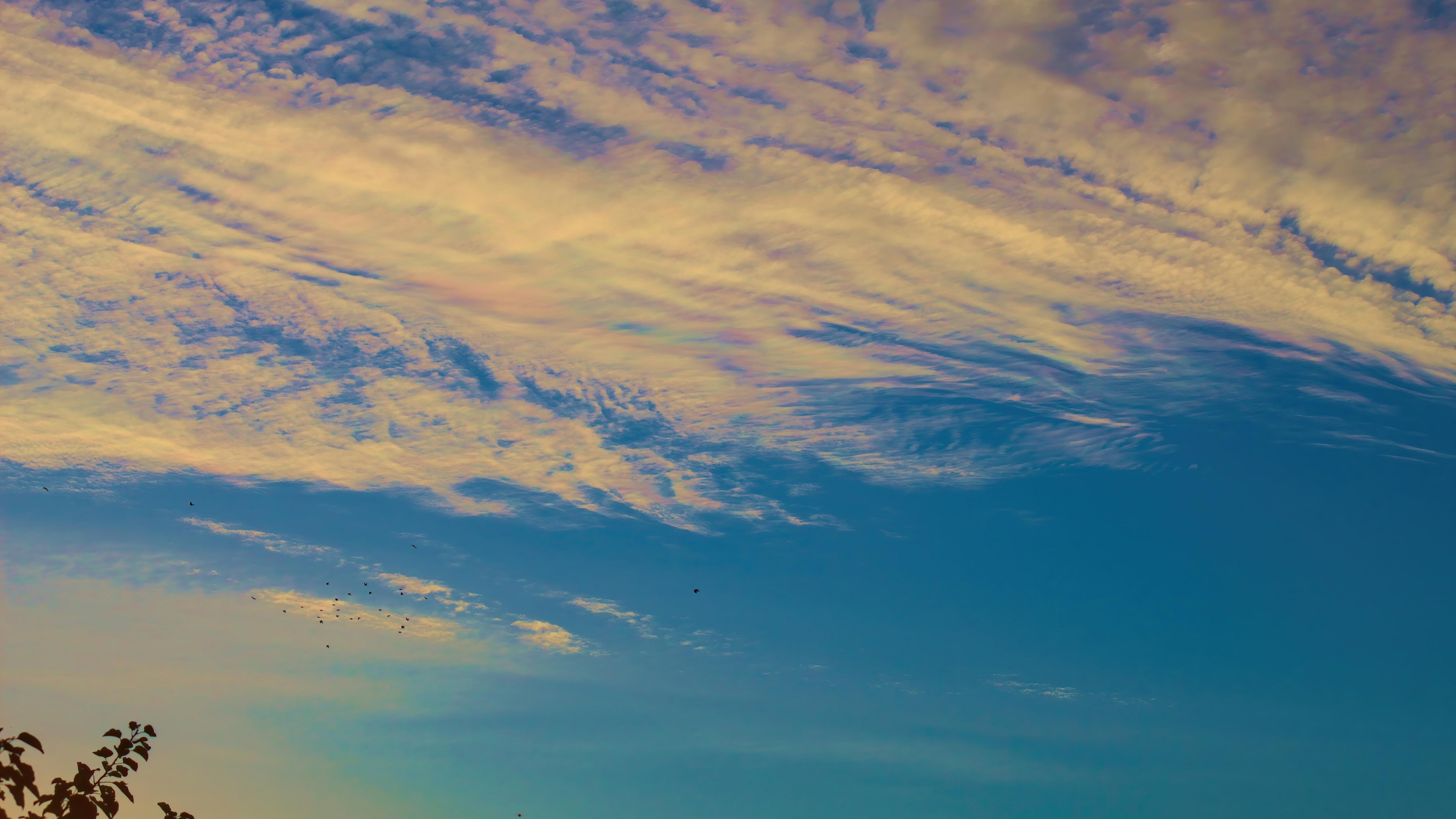 4K clouds in the sky HD Wallpaper