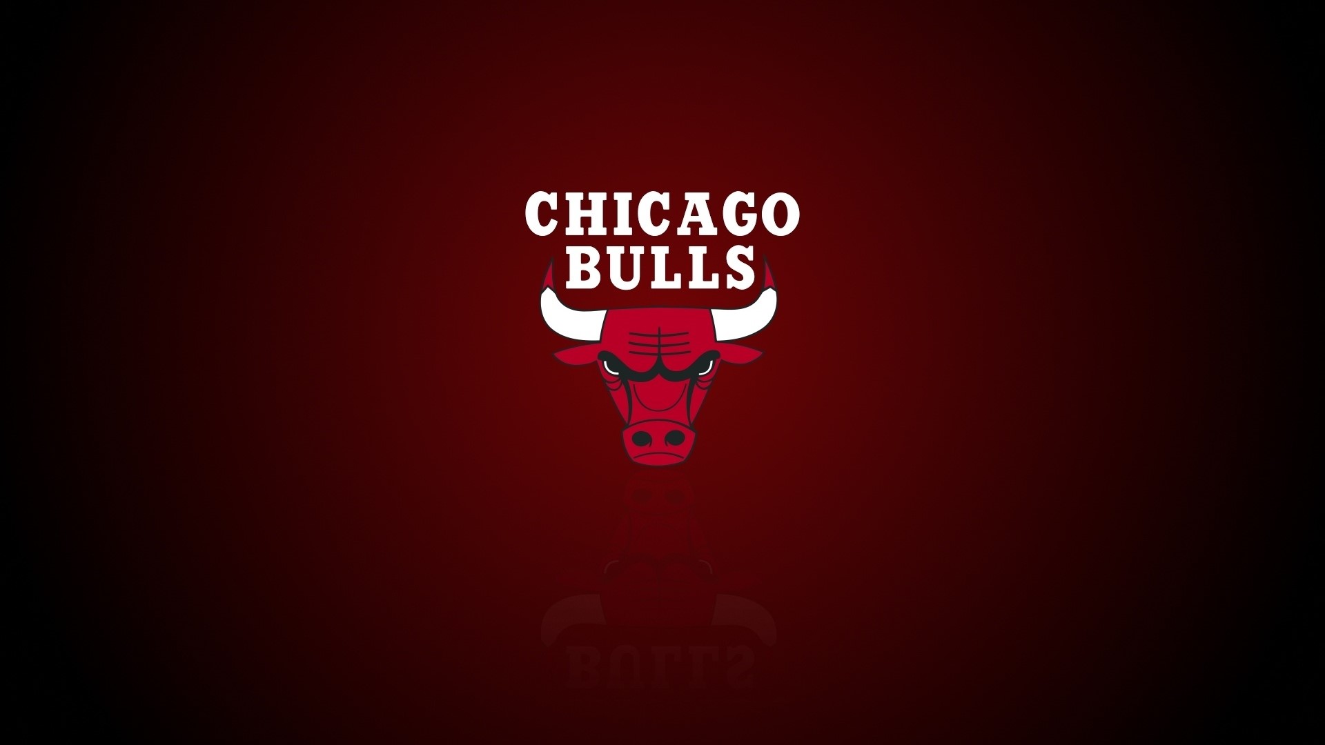 Chicago Bulls logo HD Wallpaper