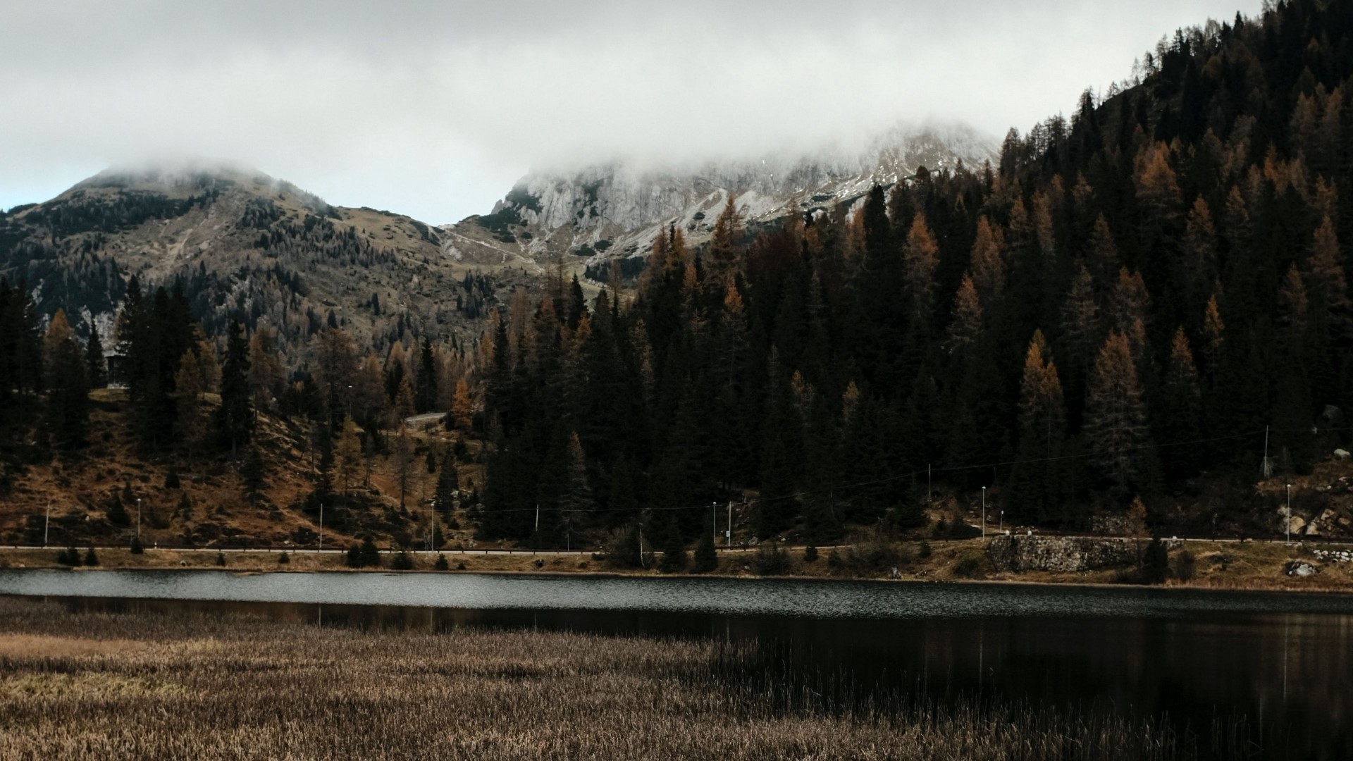 Lake and mountains with pine forest HD Wallpaper