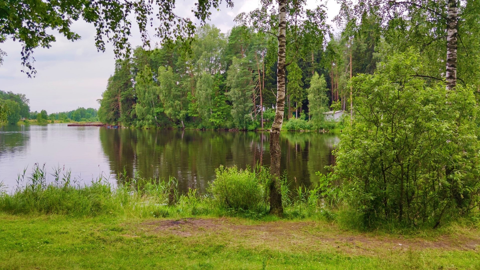 Lake surrounded by trees with a wooden dock HD Wallpaper