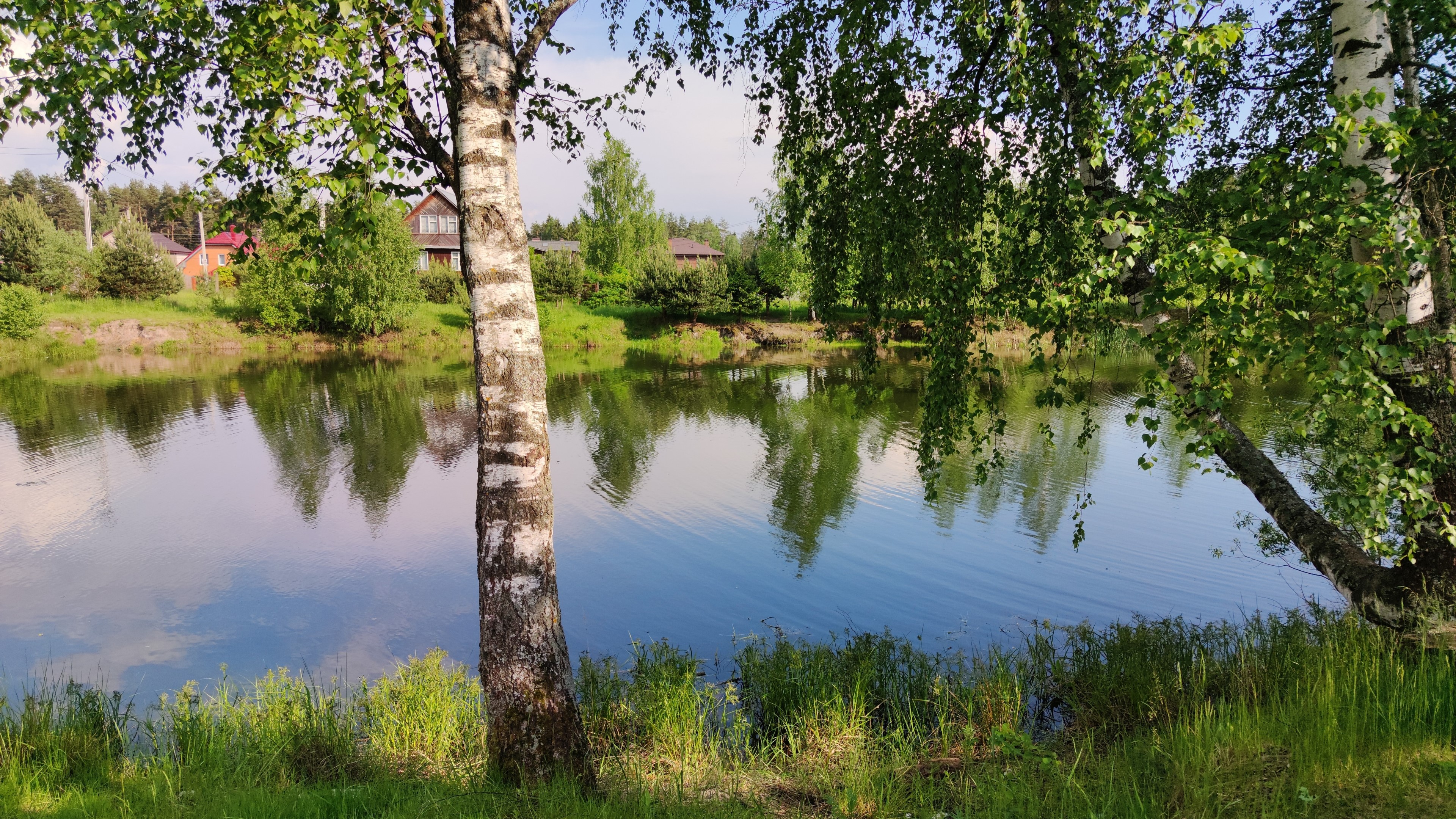 4K Pond with Birch Trees and Houses HD Wallpaper