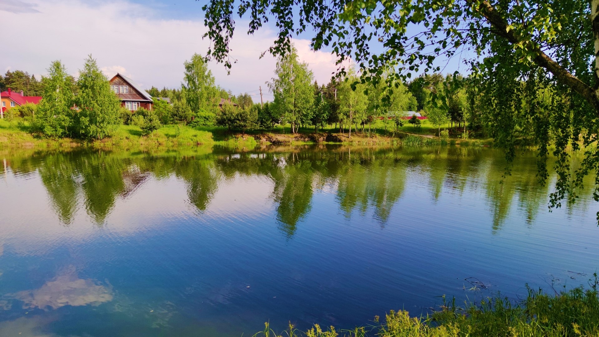 Pond with reflections of trees and houses HD Wallpaper