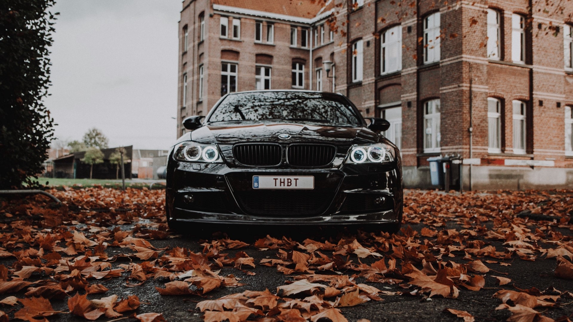 Black BMW M3 in front of brick building with autumn leaves HD Wallpaper