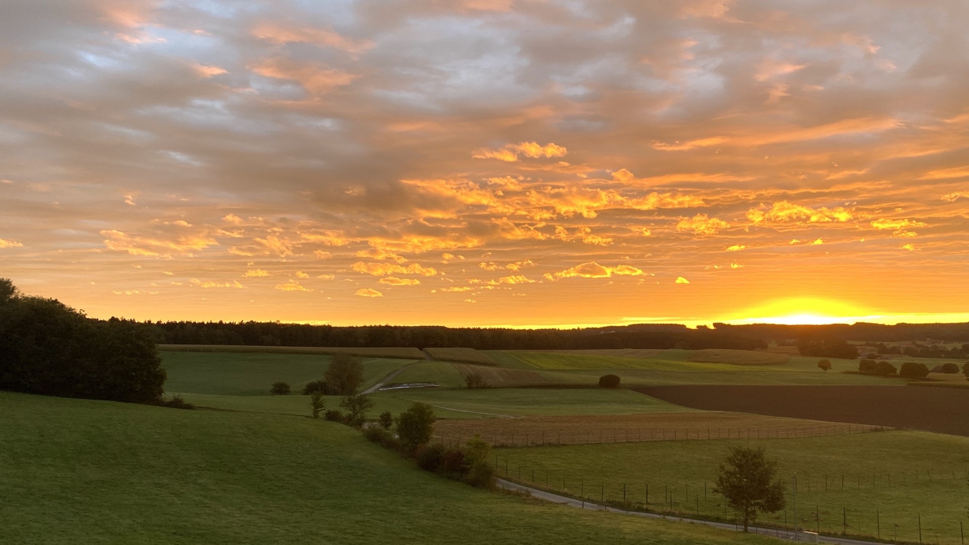 Sunrise over rolling hills and fields HD Wallpaper
