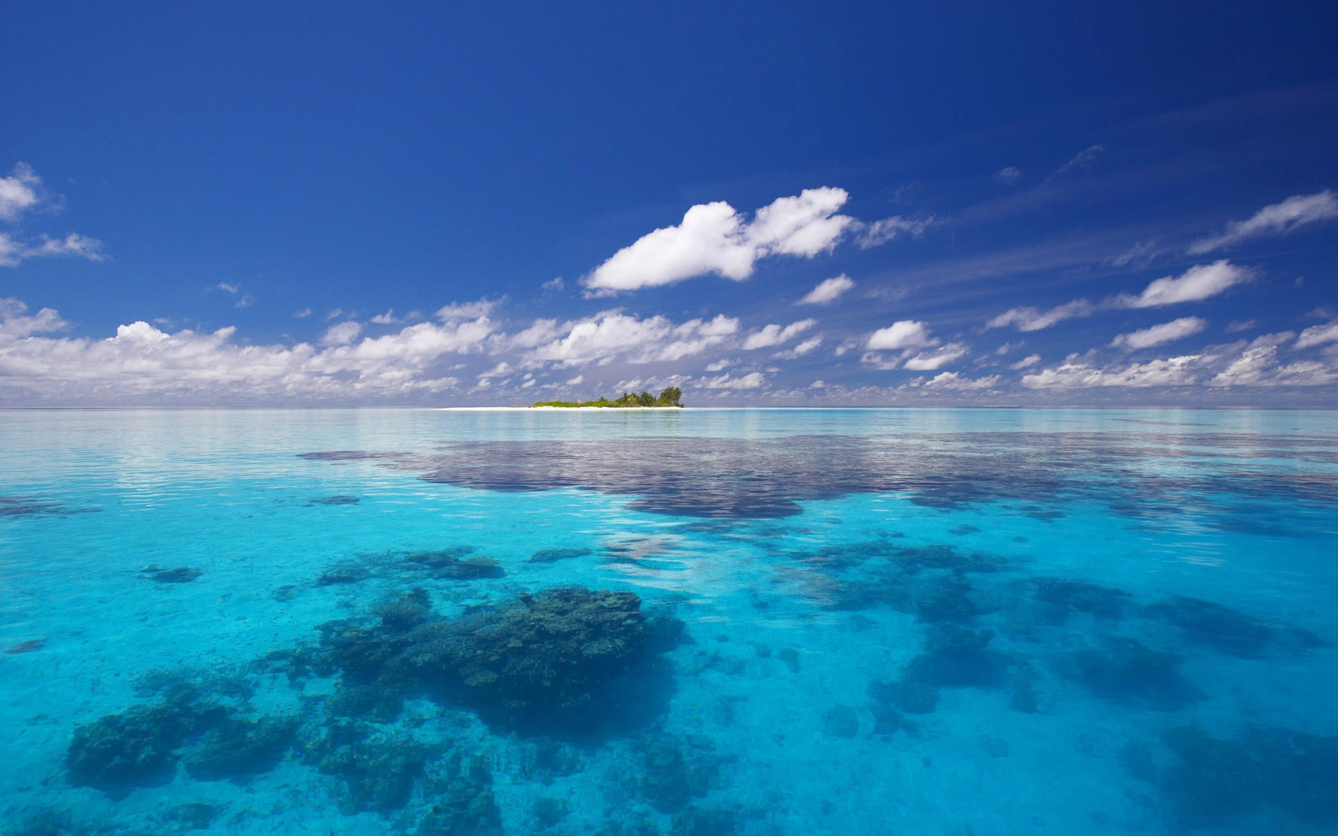 Tropical island in a clear blue ocean HD Wallpaper